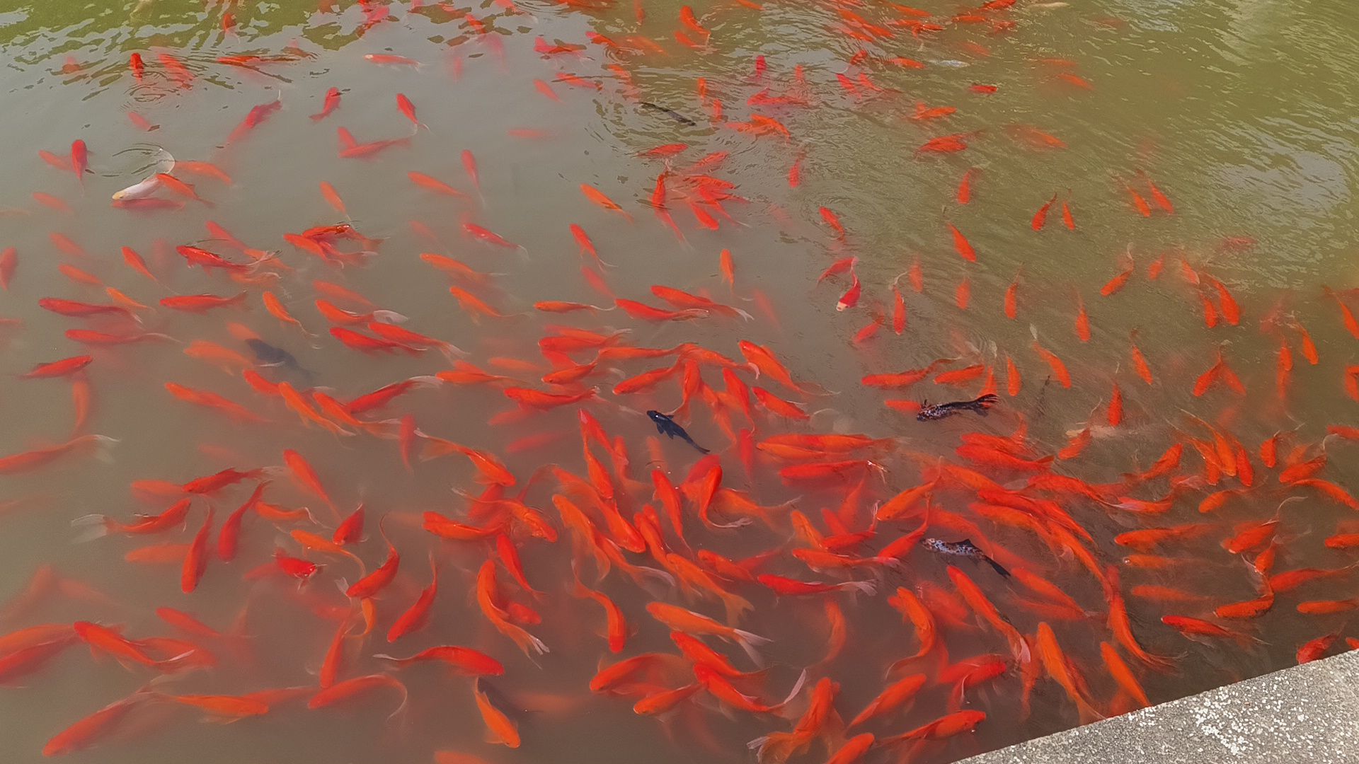 南通市城市风景