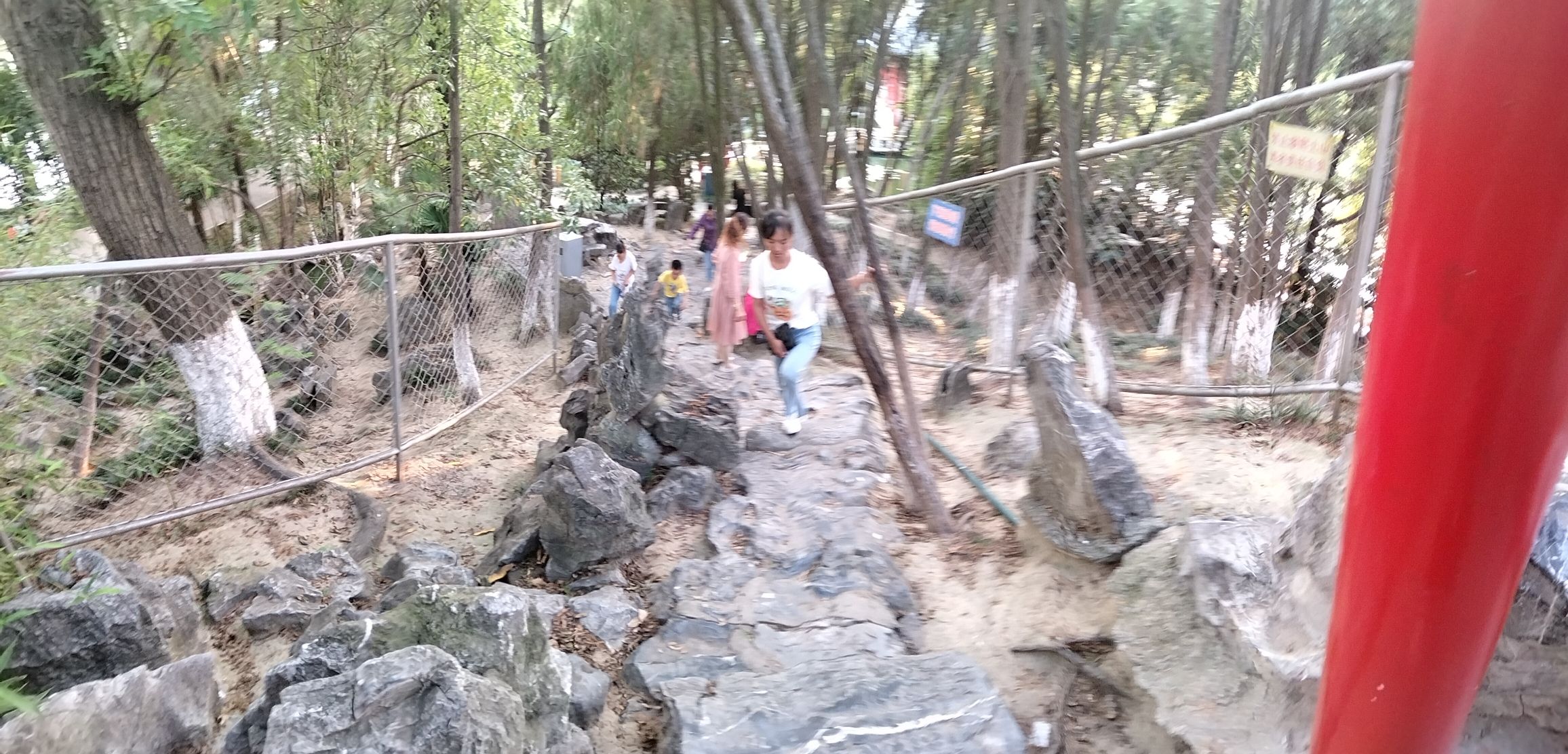 海陵公园旅行图片