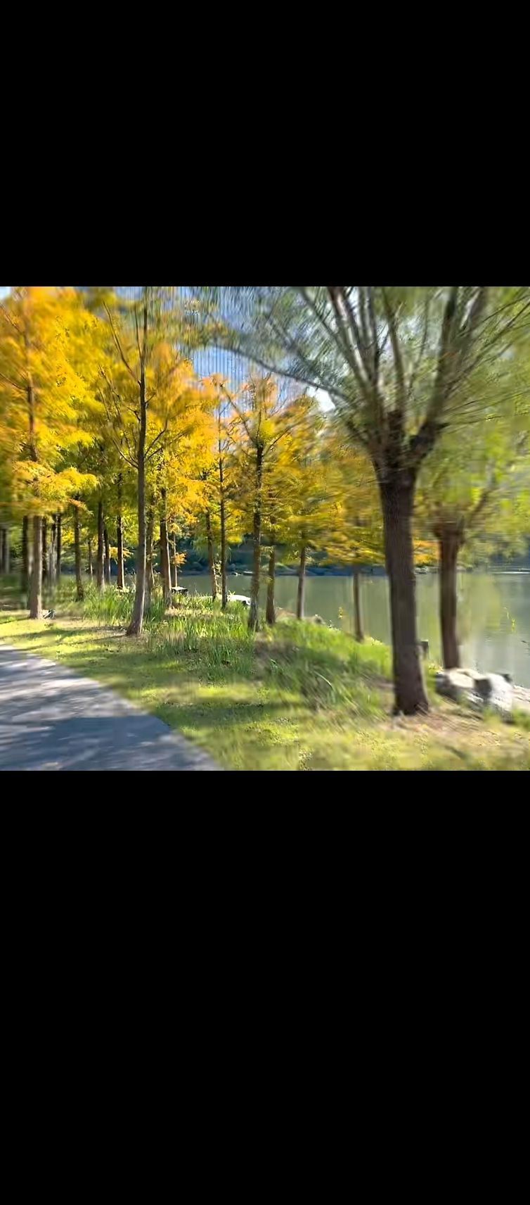 南通中央公园(崇川路)