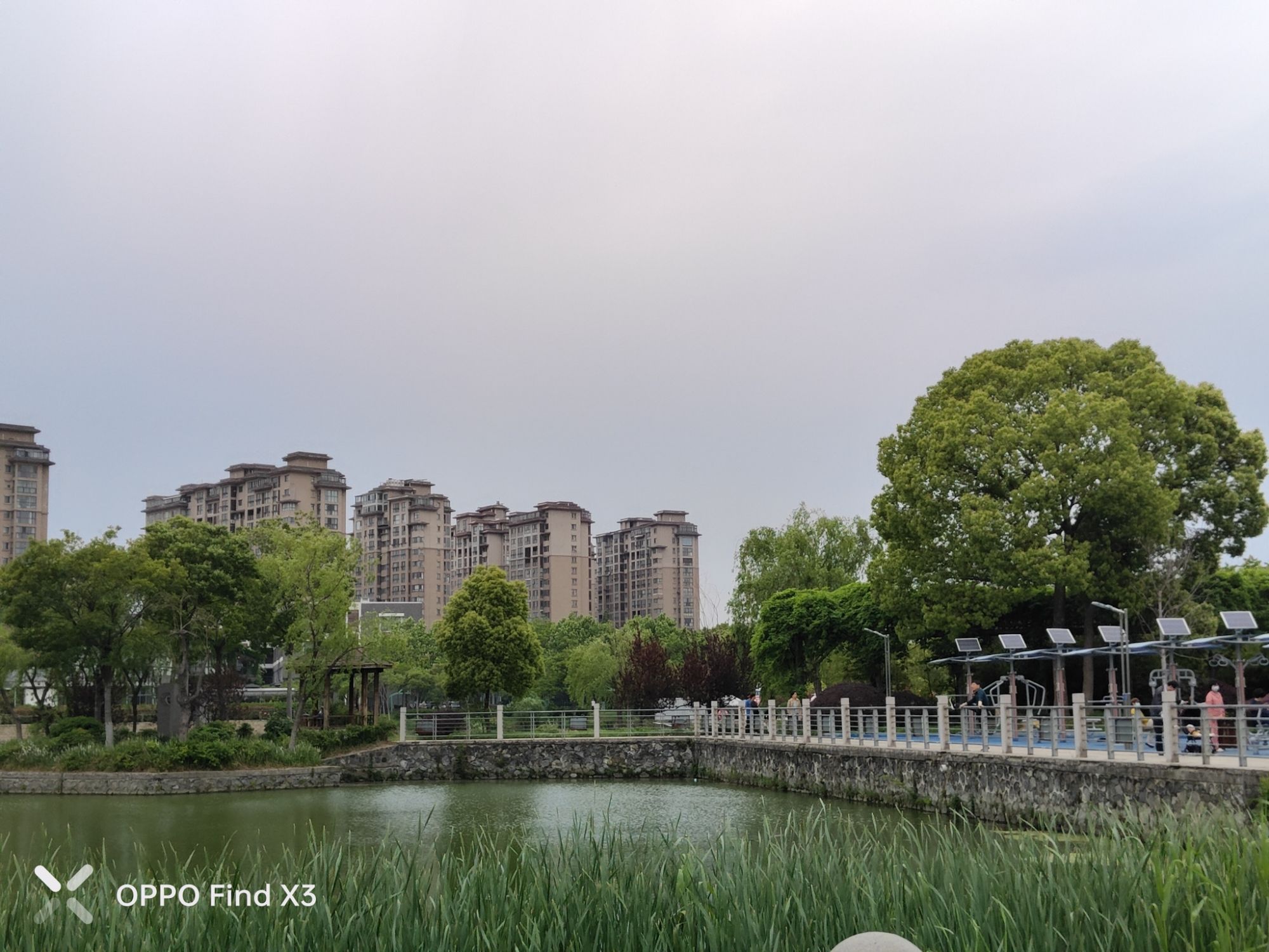 曲江公园旅行图片
