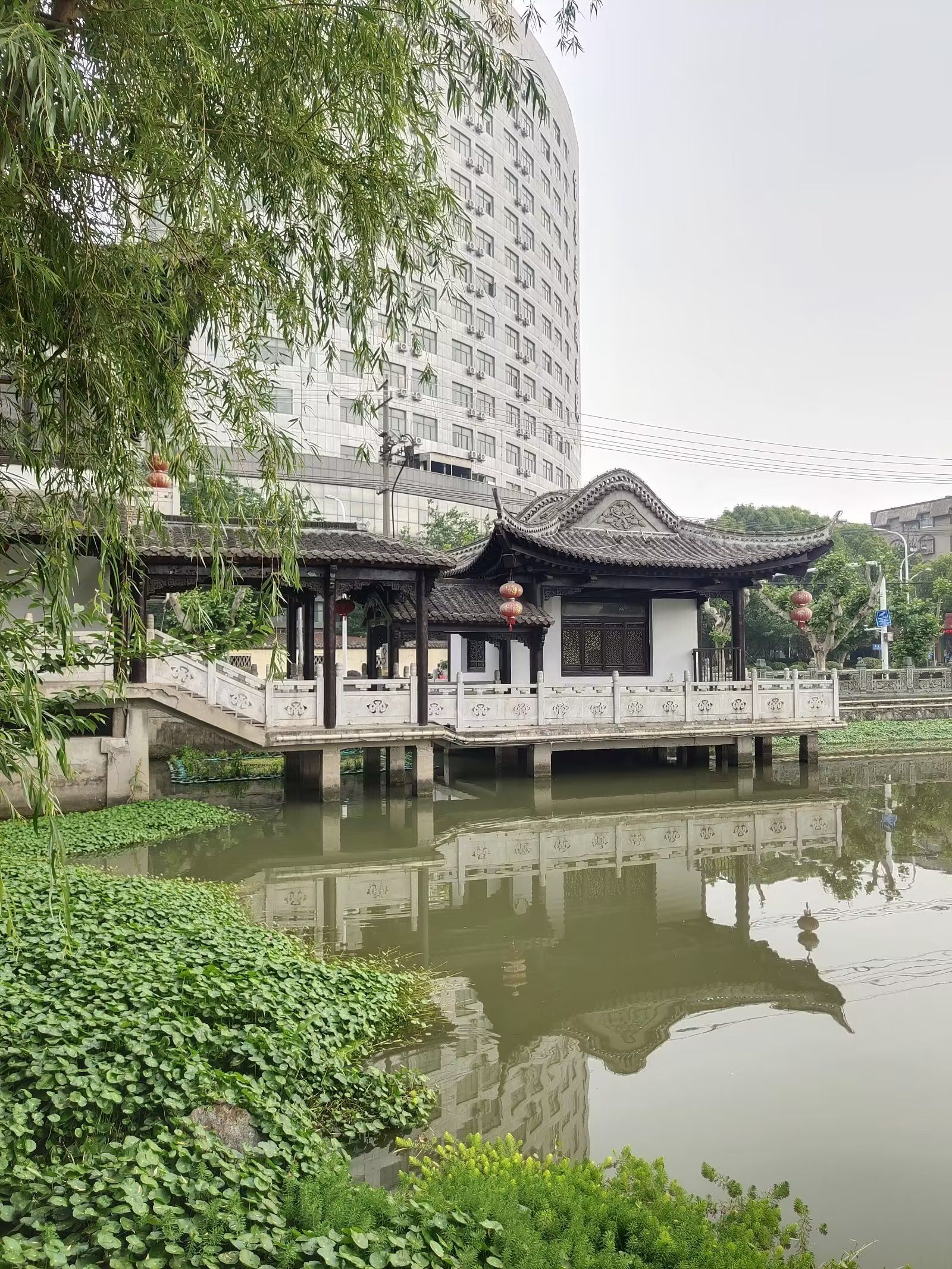 纵棹园旅行图片
