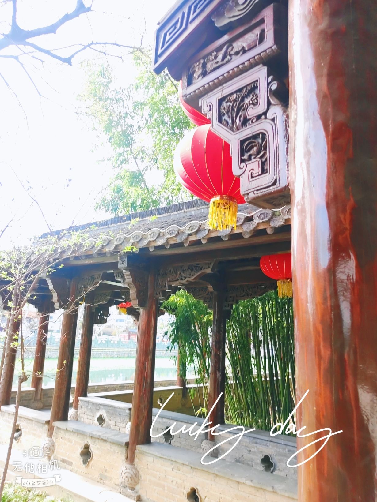 纵棹园旅行图片