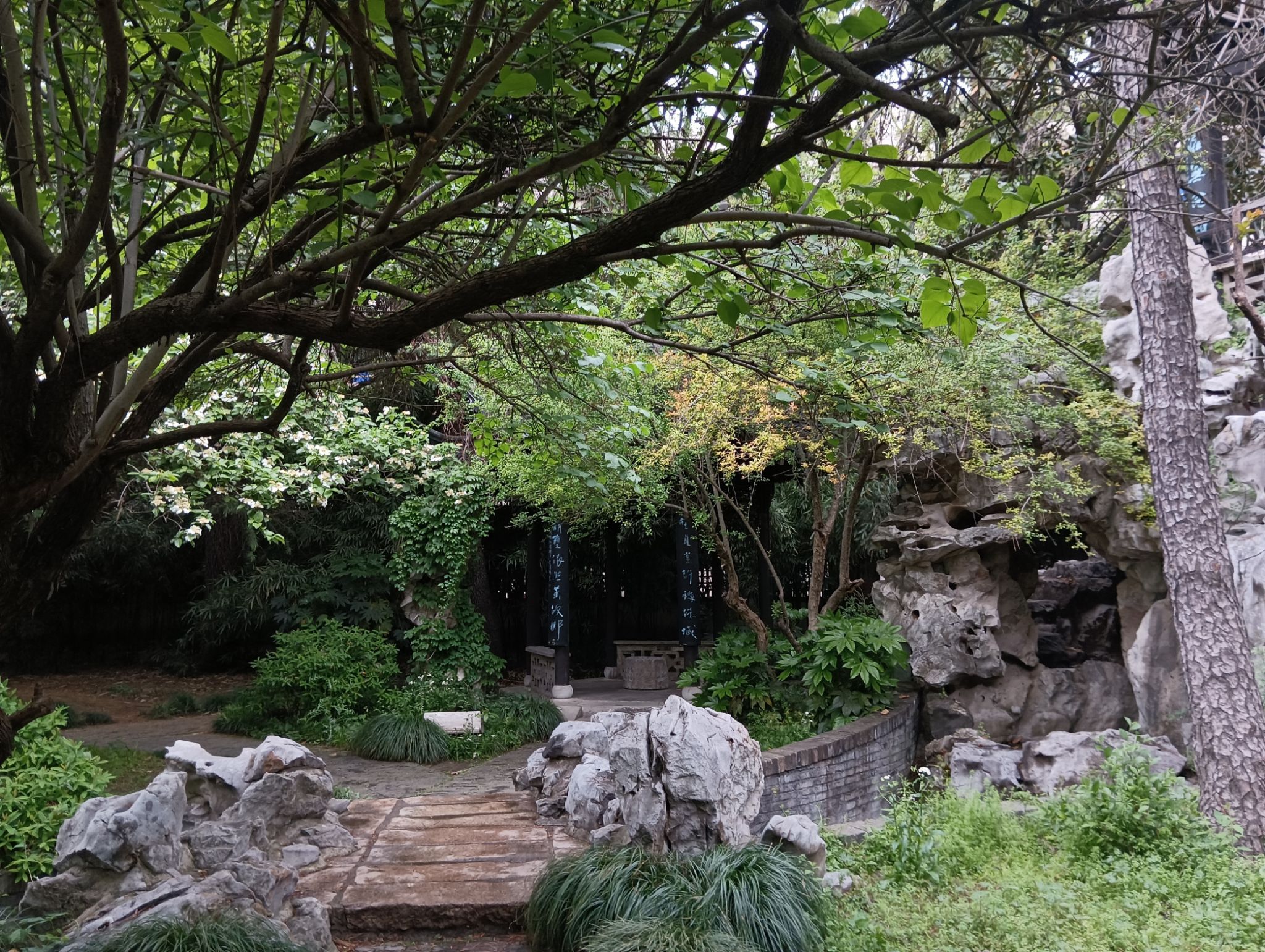 琼花观旅行图片