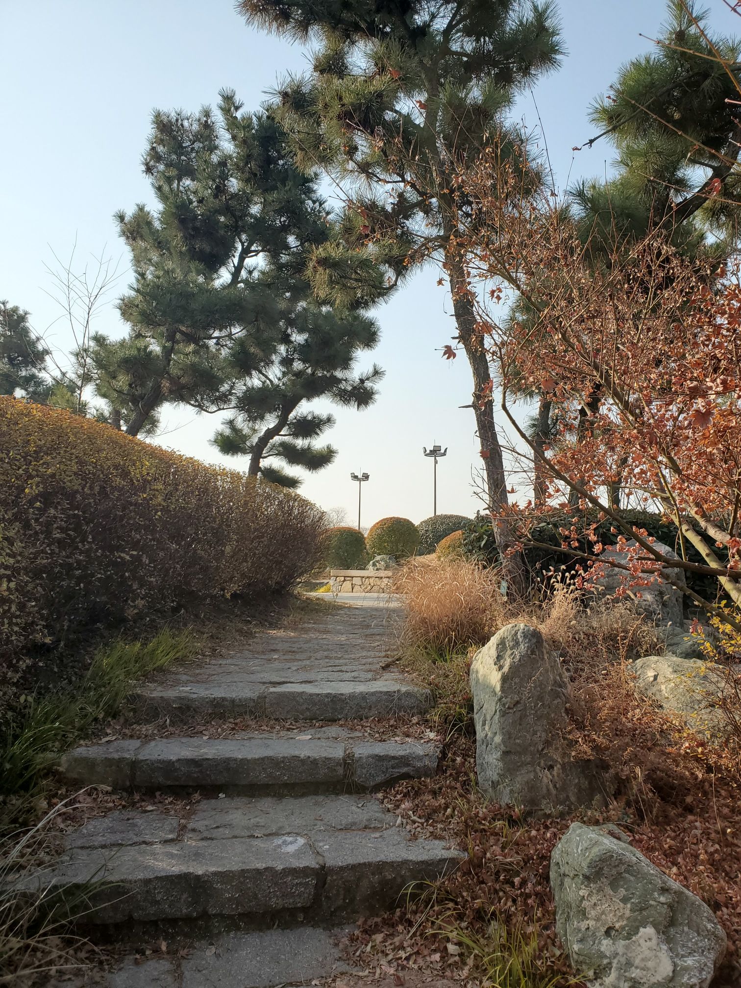扬子江公园