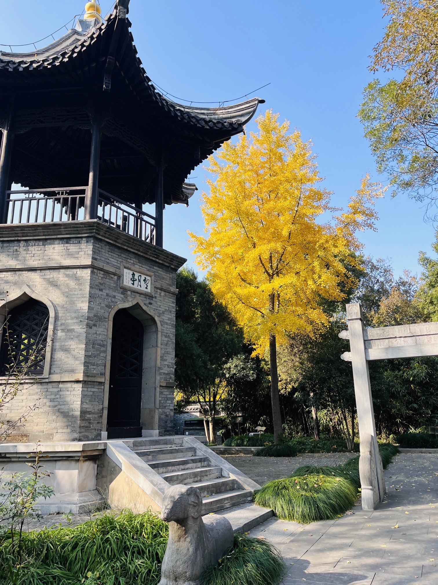 普哈丁园旅行图片