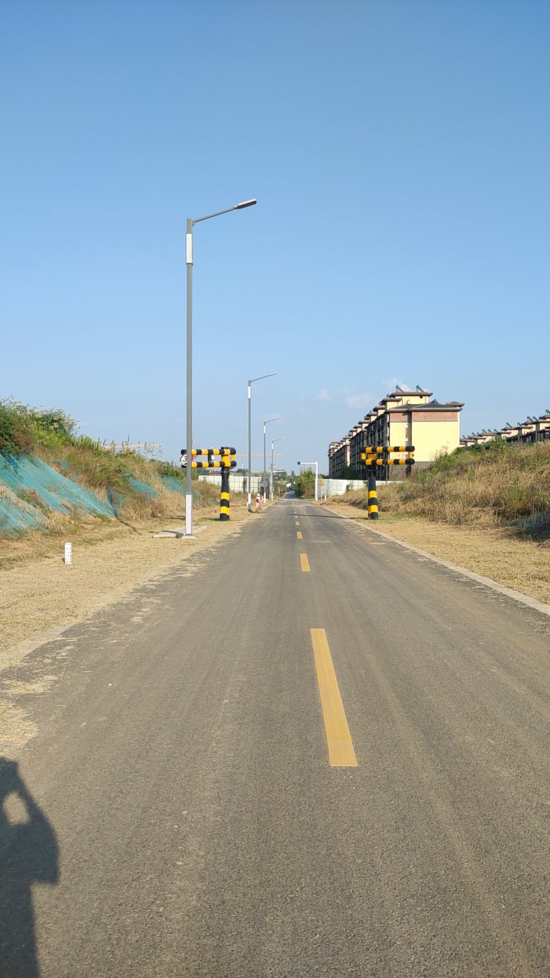 扬州西郊森林公园旅行图片