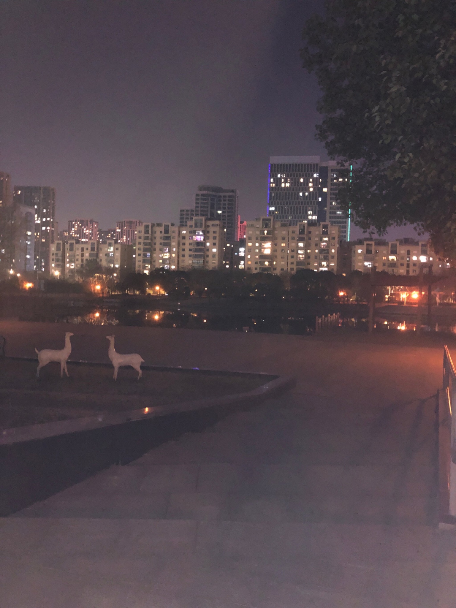 蝶湖公园旅行图片