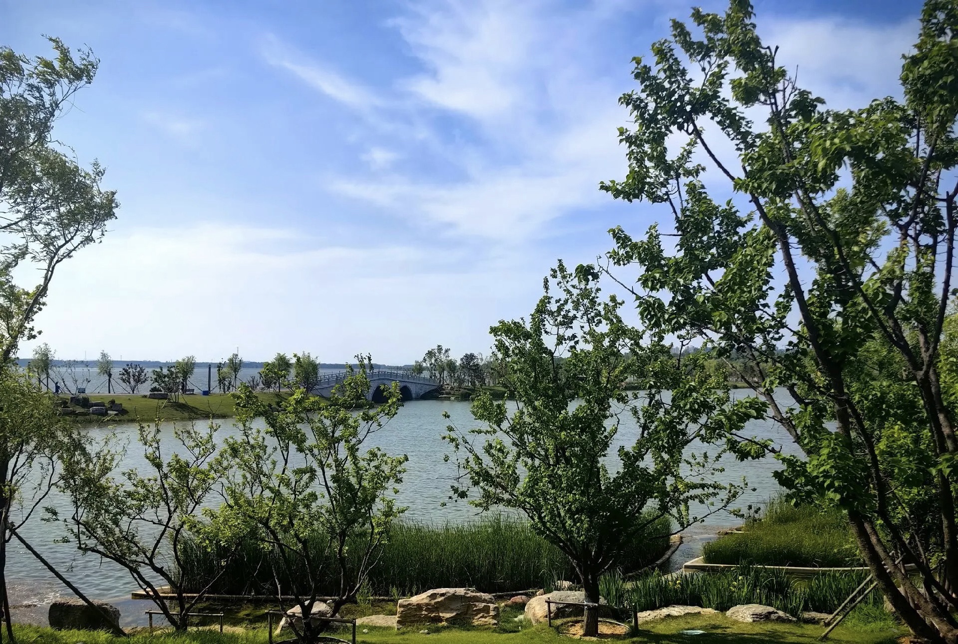 宝应湖国家湿地公园旅行图片