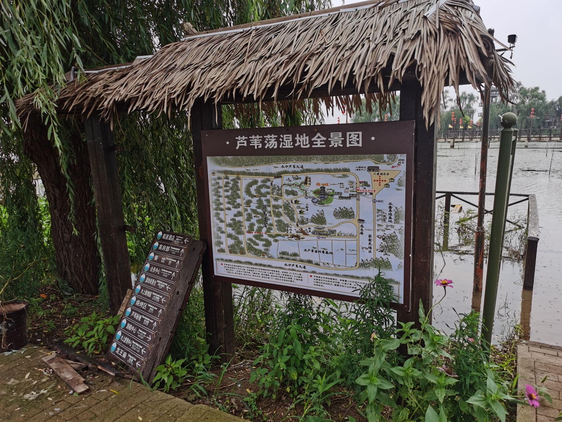 高邮湖芦苇荡生态湿地