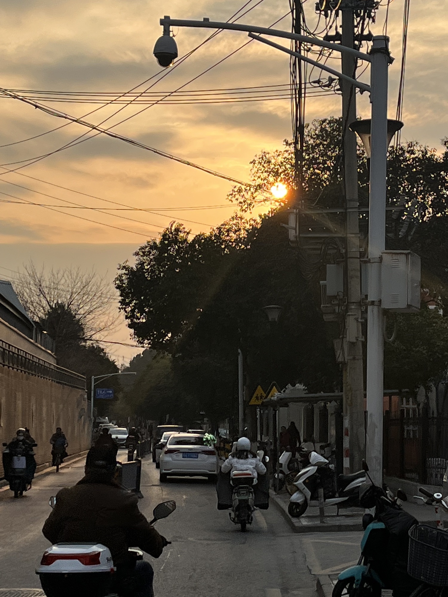 滨海公园旅行图片