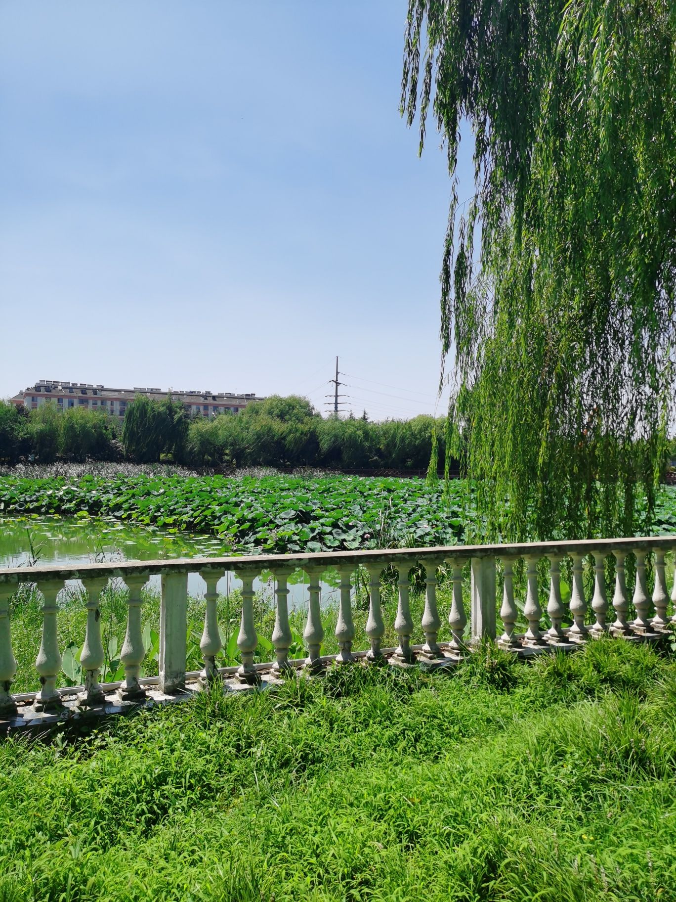 滨海公园旅行图片