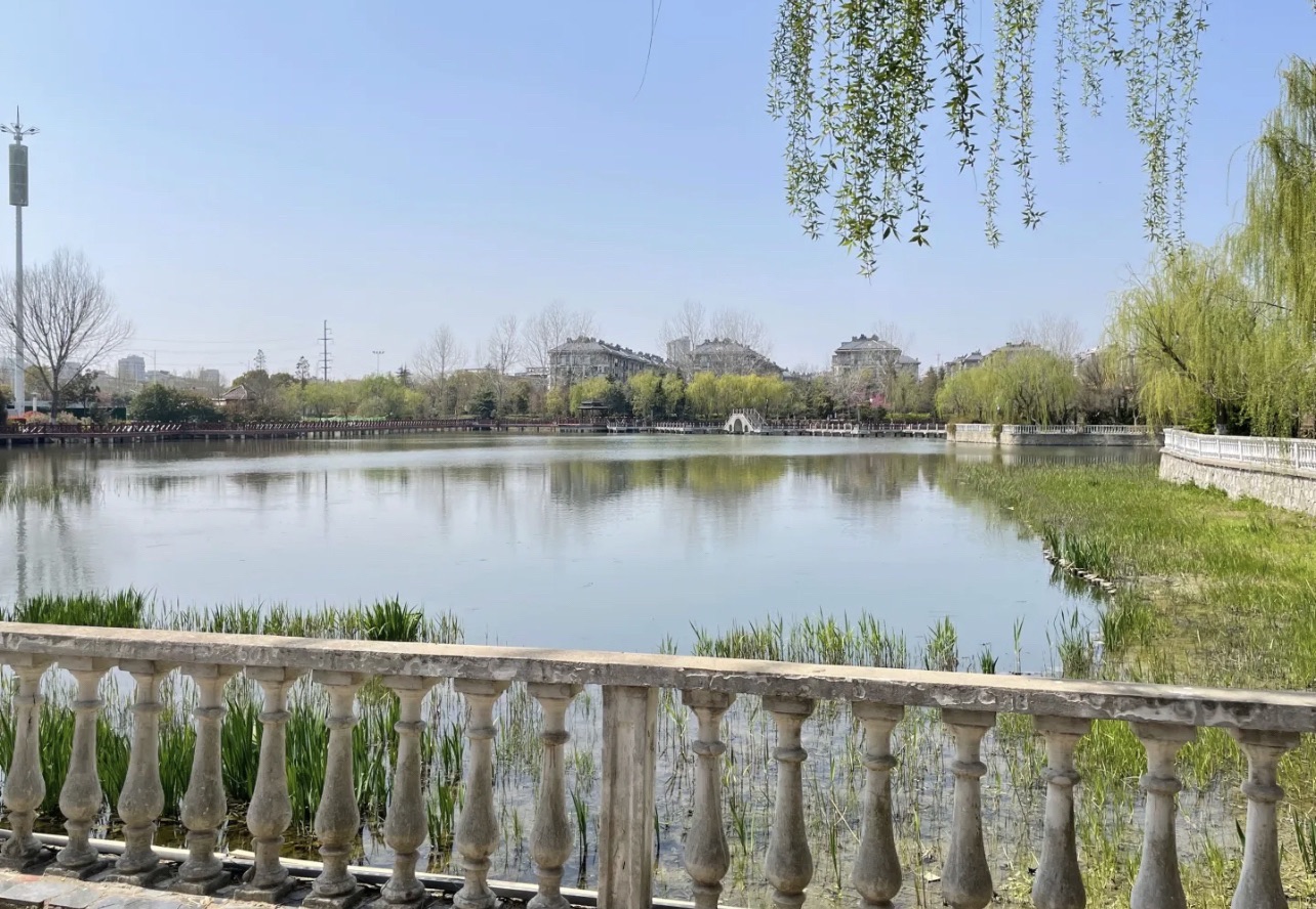 滨海公园旅行图片