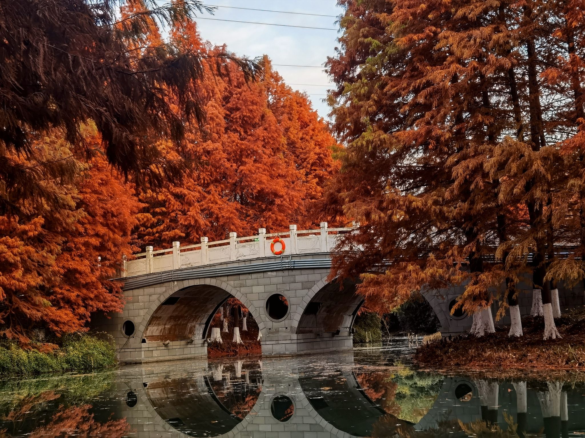 盐渎公园旅行图片