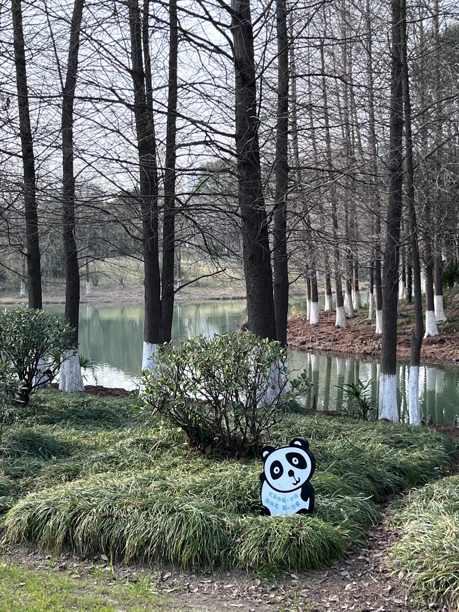 盐渎公园旅行图片