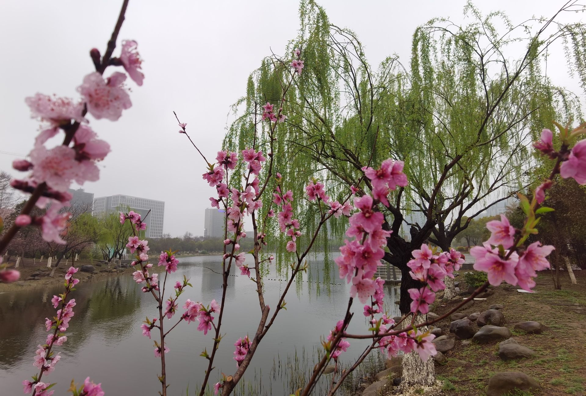 东方公园旅行图片