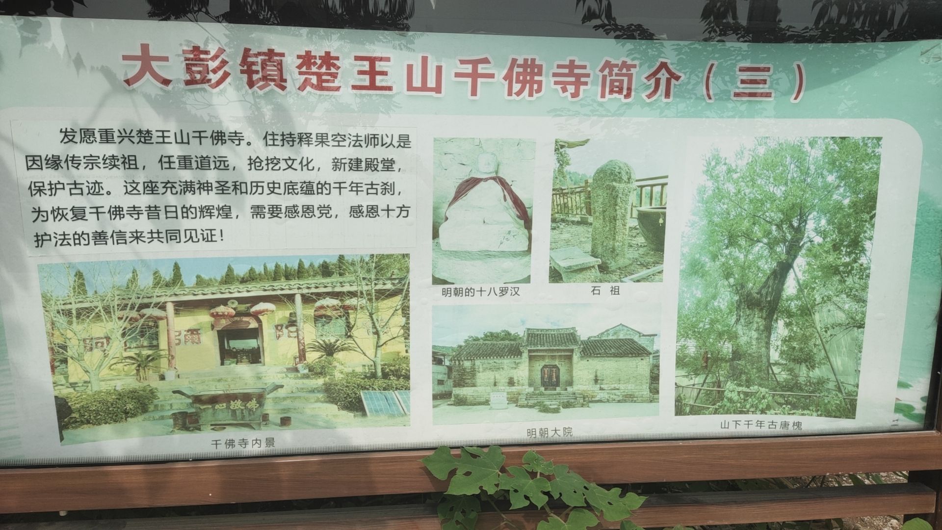 楚王山汉墓群