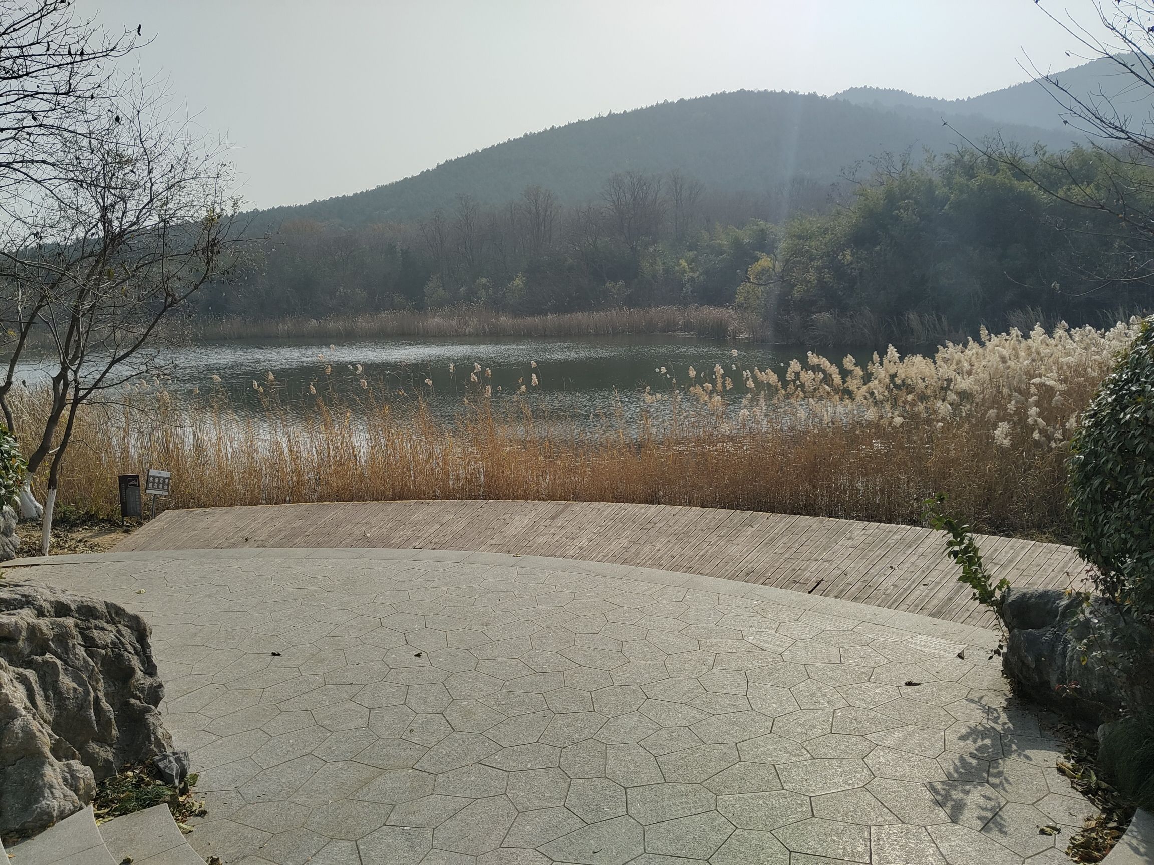 泉山森林公园