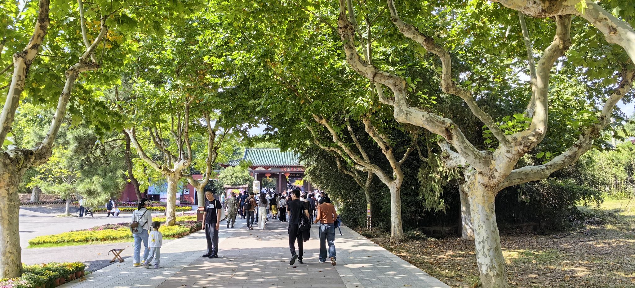 马陵山风景名胜区旅行图片
