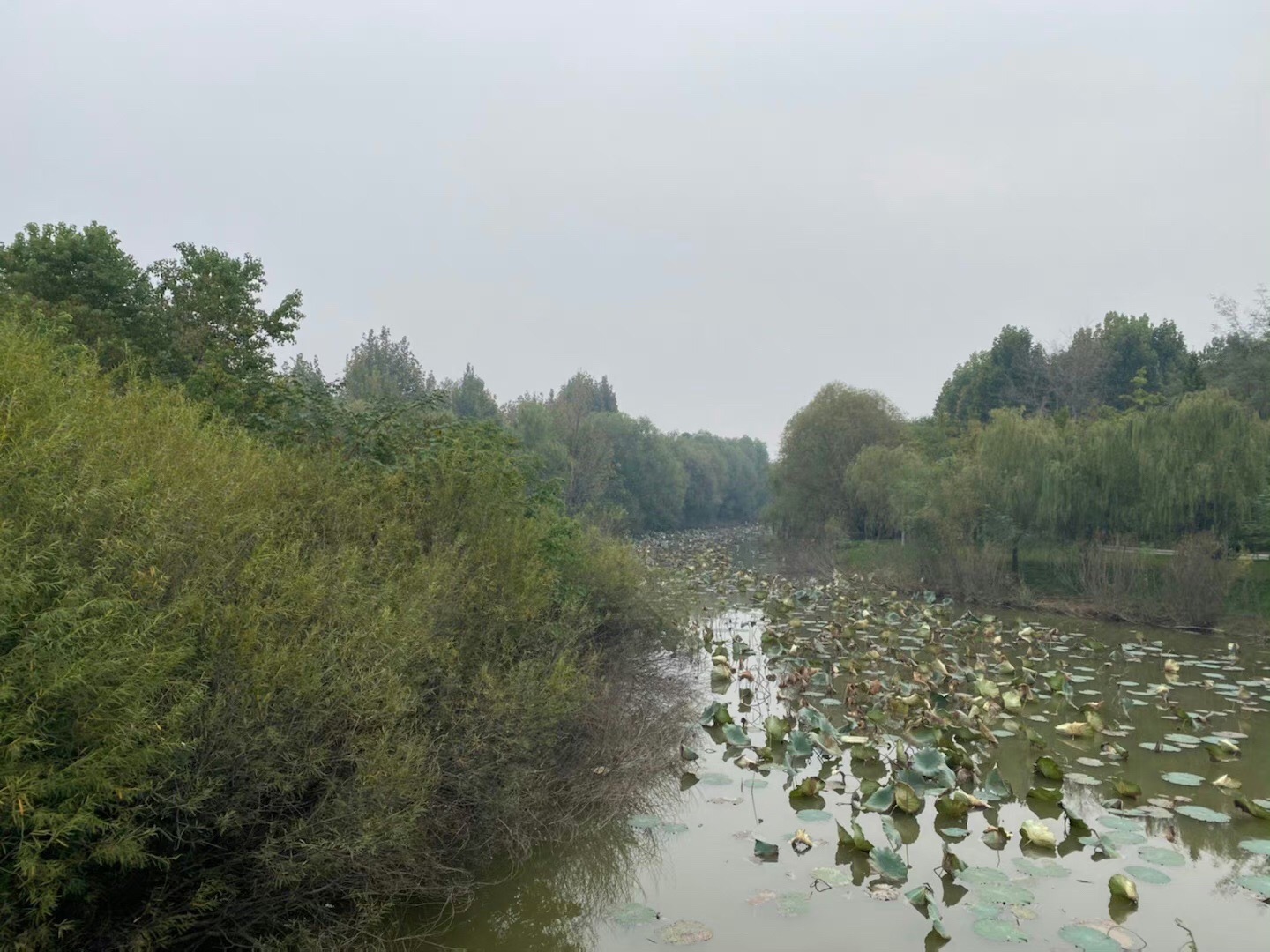 沛公园景区