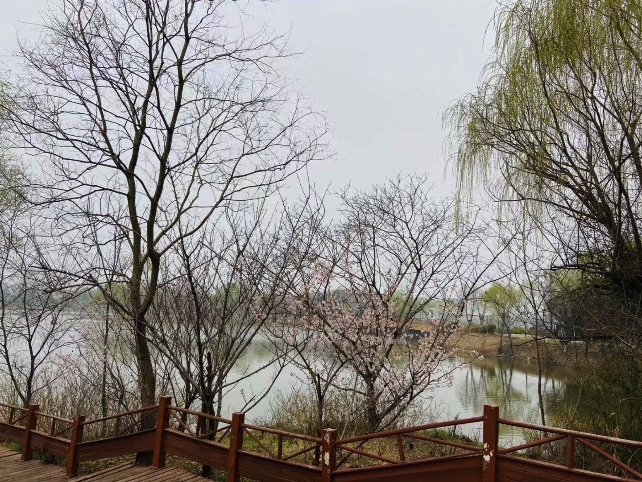 沛公园景区旅行图片