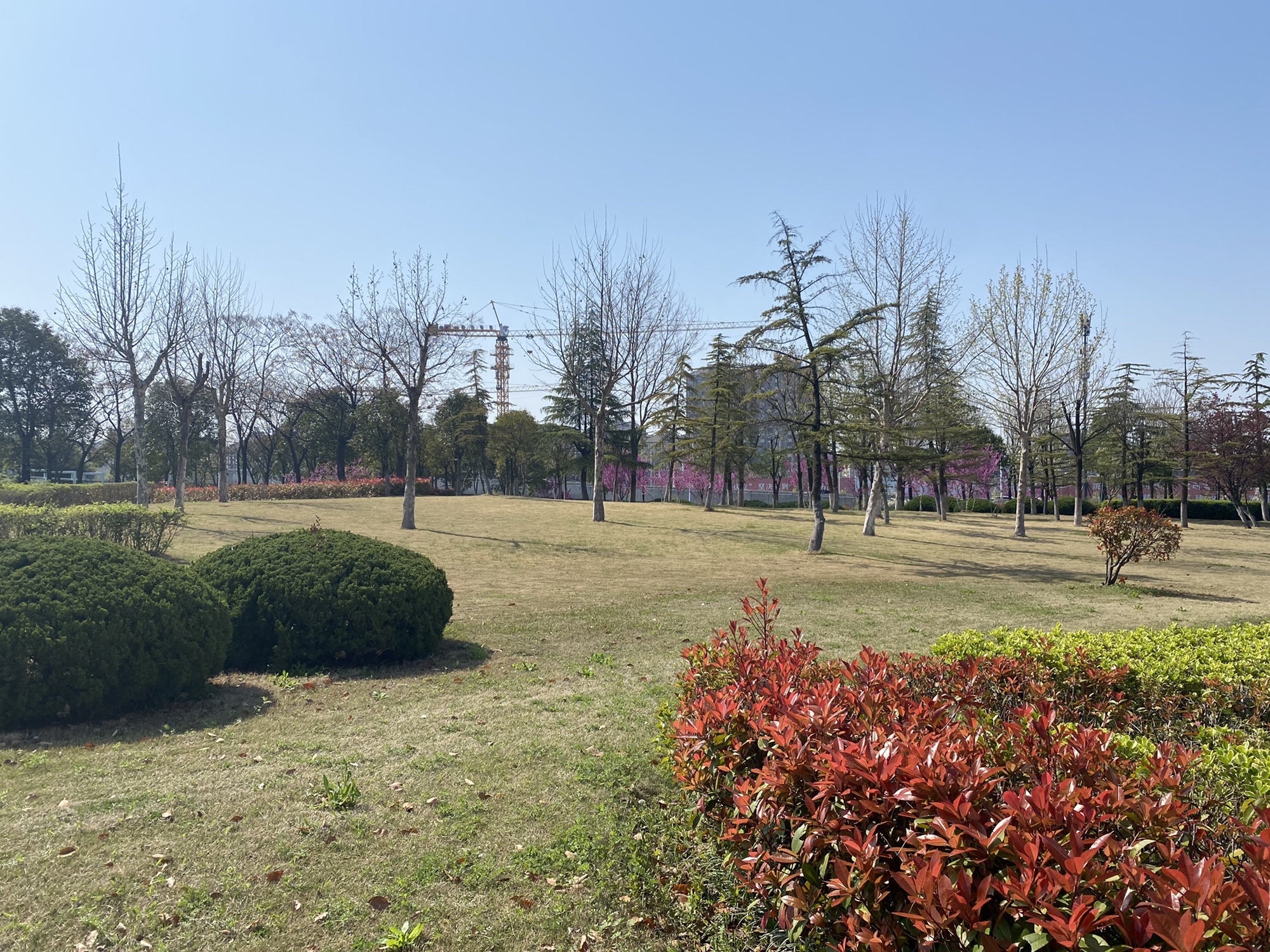 徐州市百果园景观绿地旅行图片