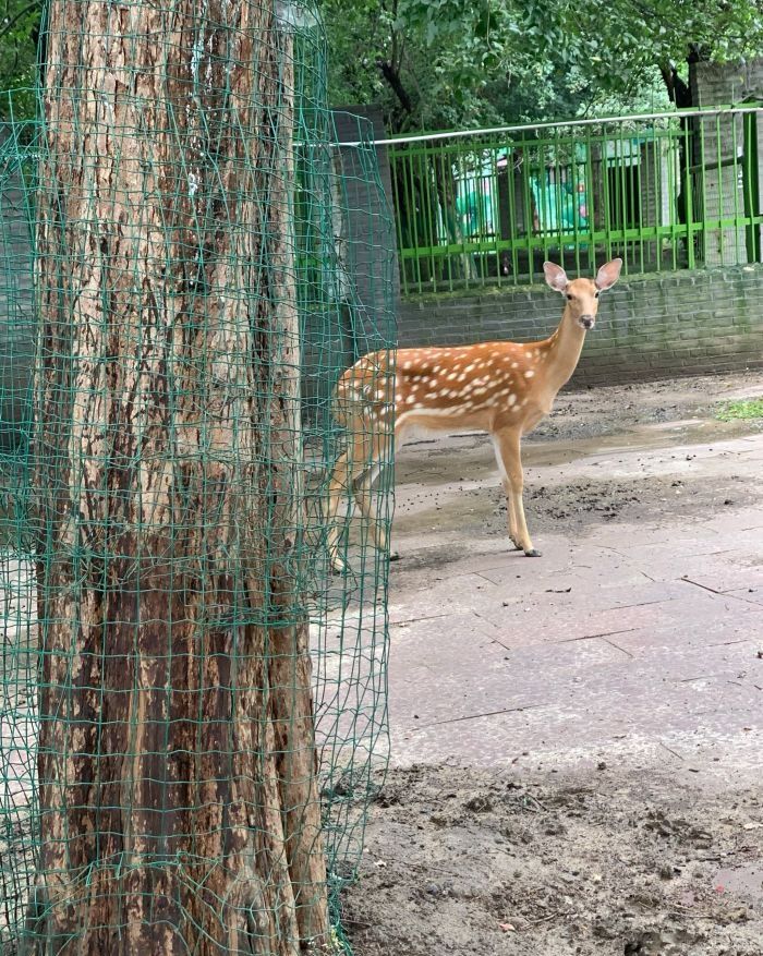 卧龙泉抗战景区旅行图片