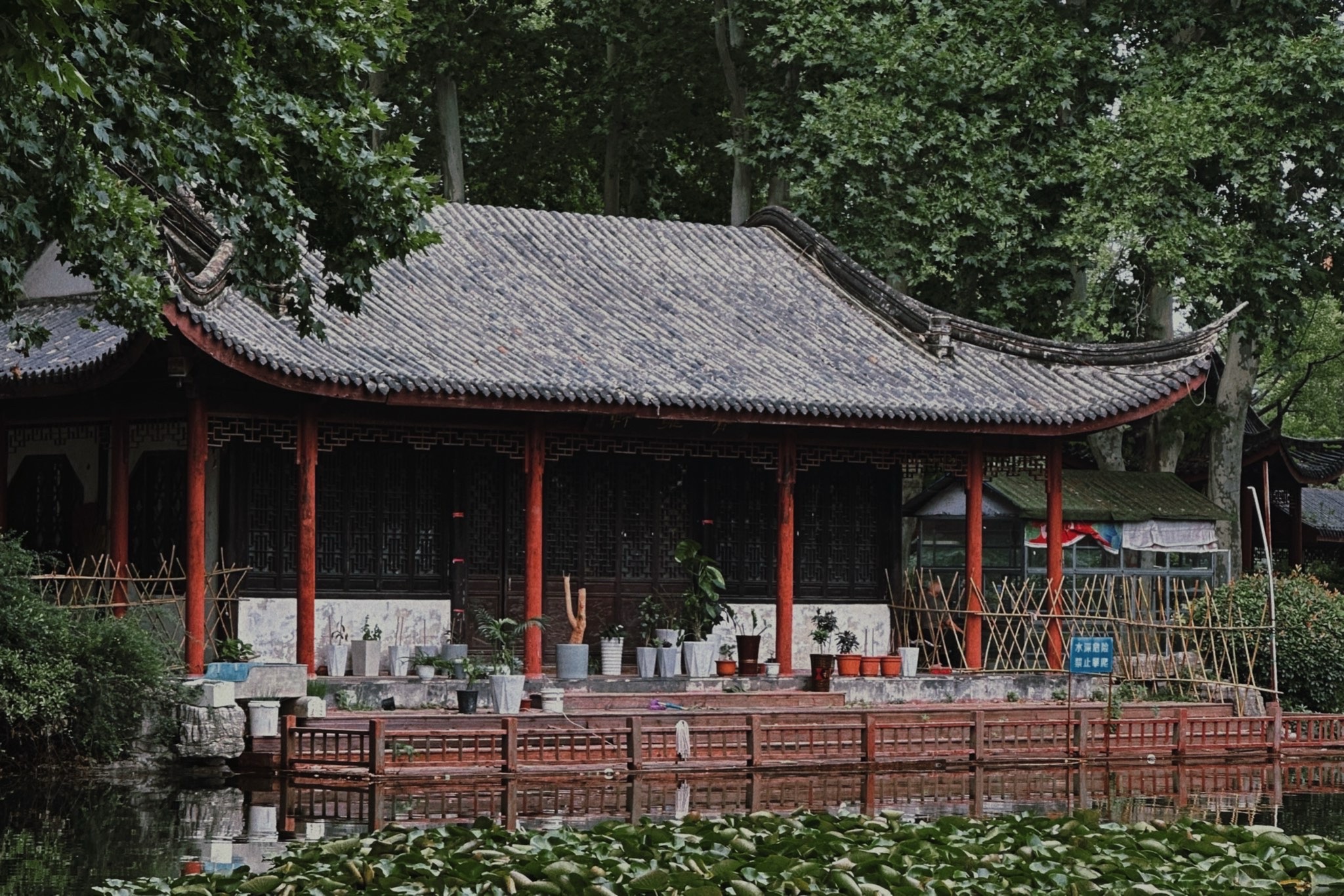 夏桥公园旅行图片