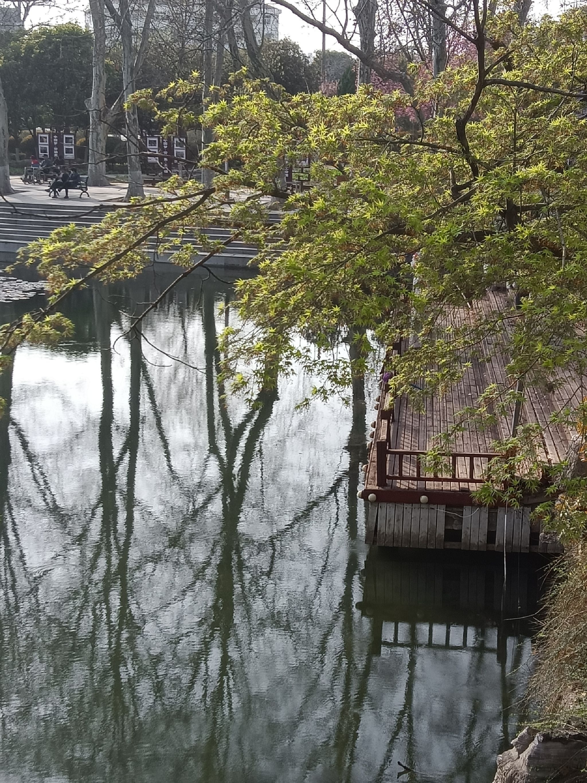 夏桥公园旅行图片