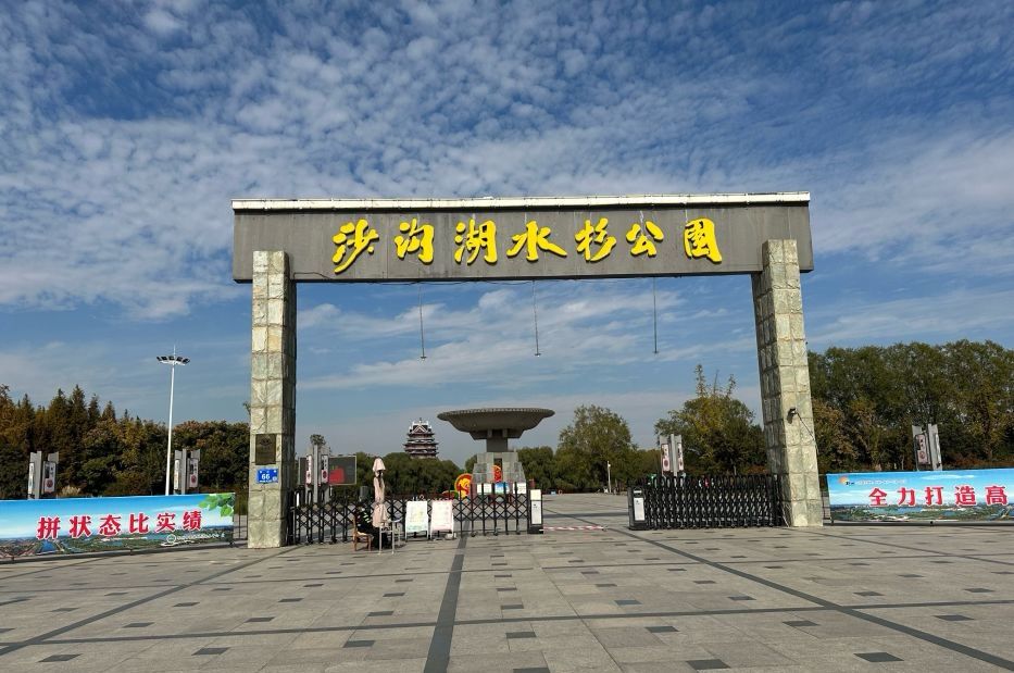 沙沟湖水杉公园旅行图片