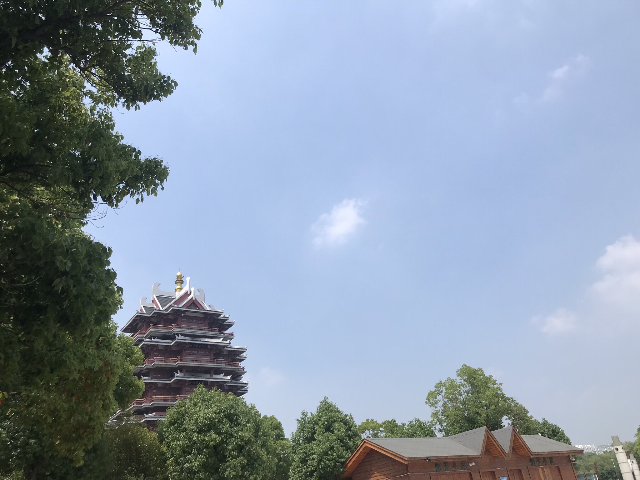 沙沟湖水杉公园旅行图片