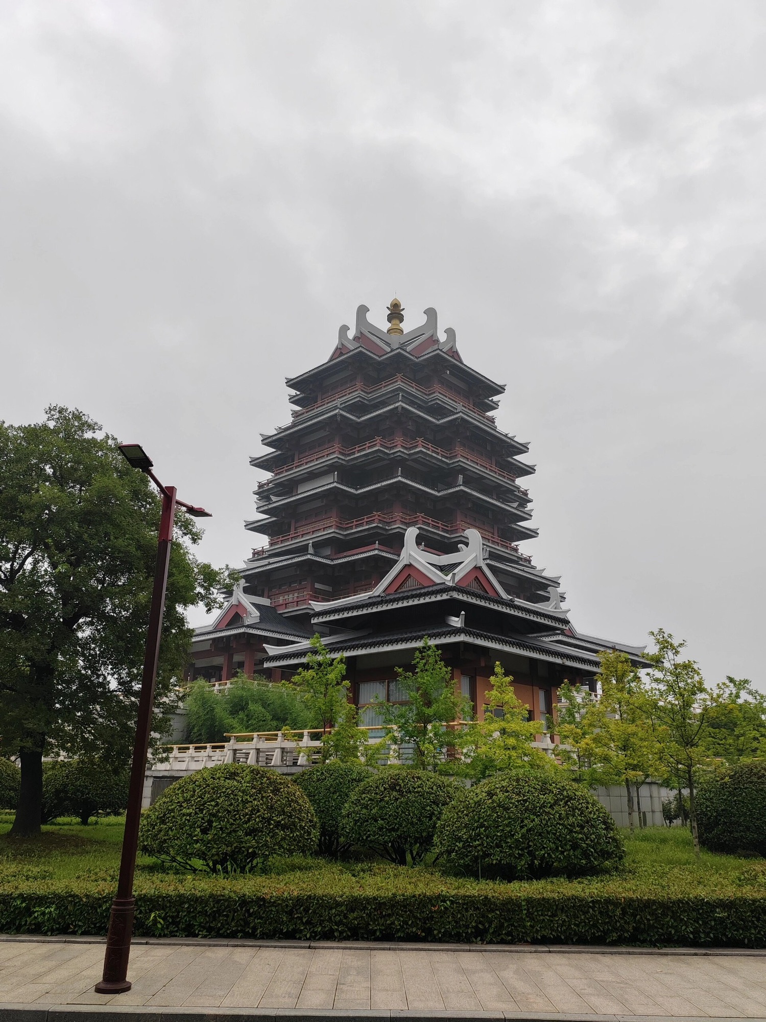 沙沟湖水杉公园旅行图片