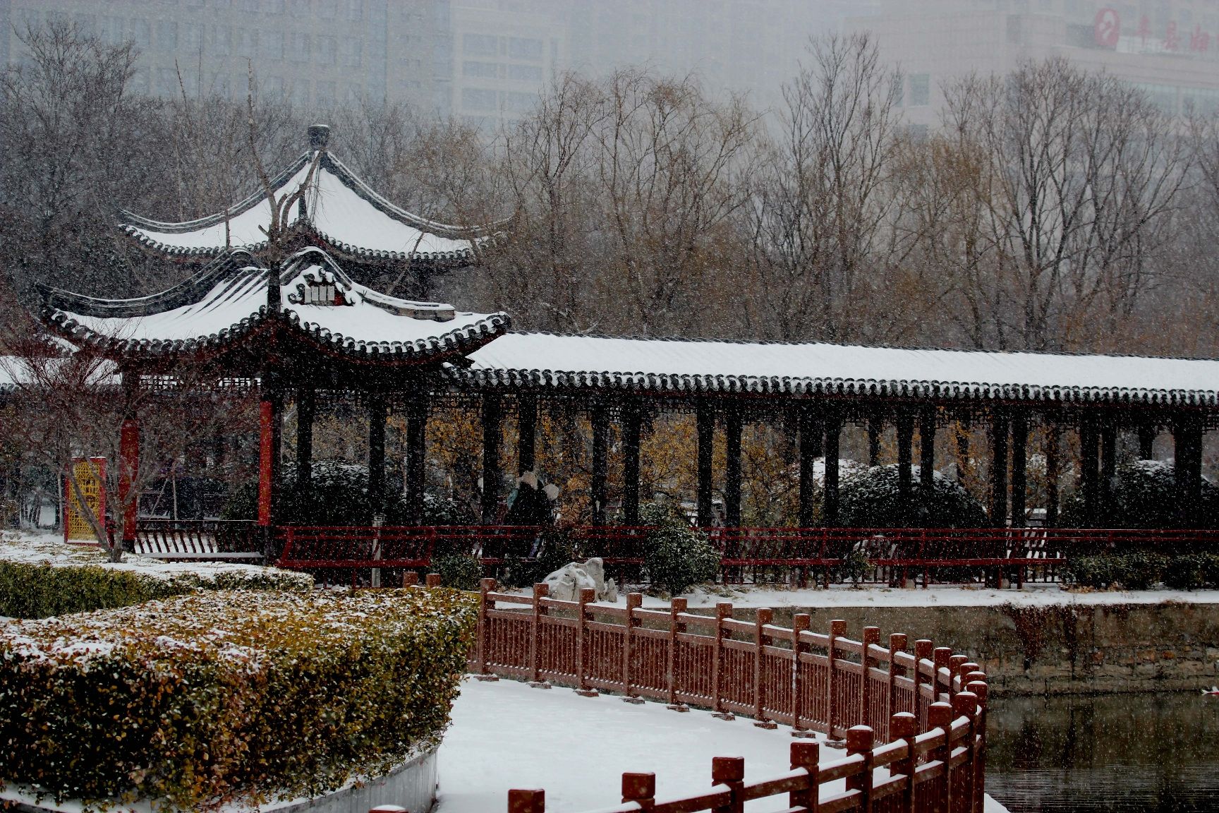 栖凤园旅行图片