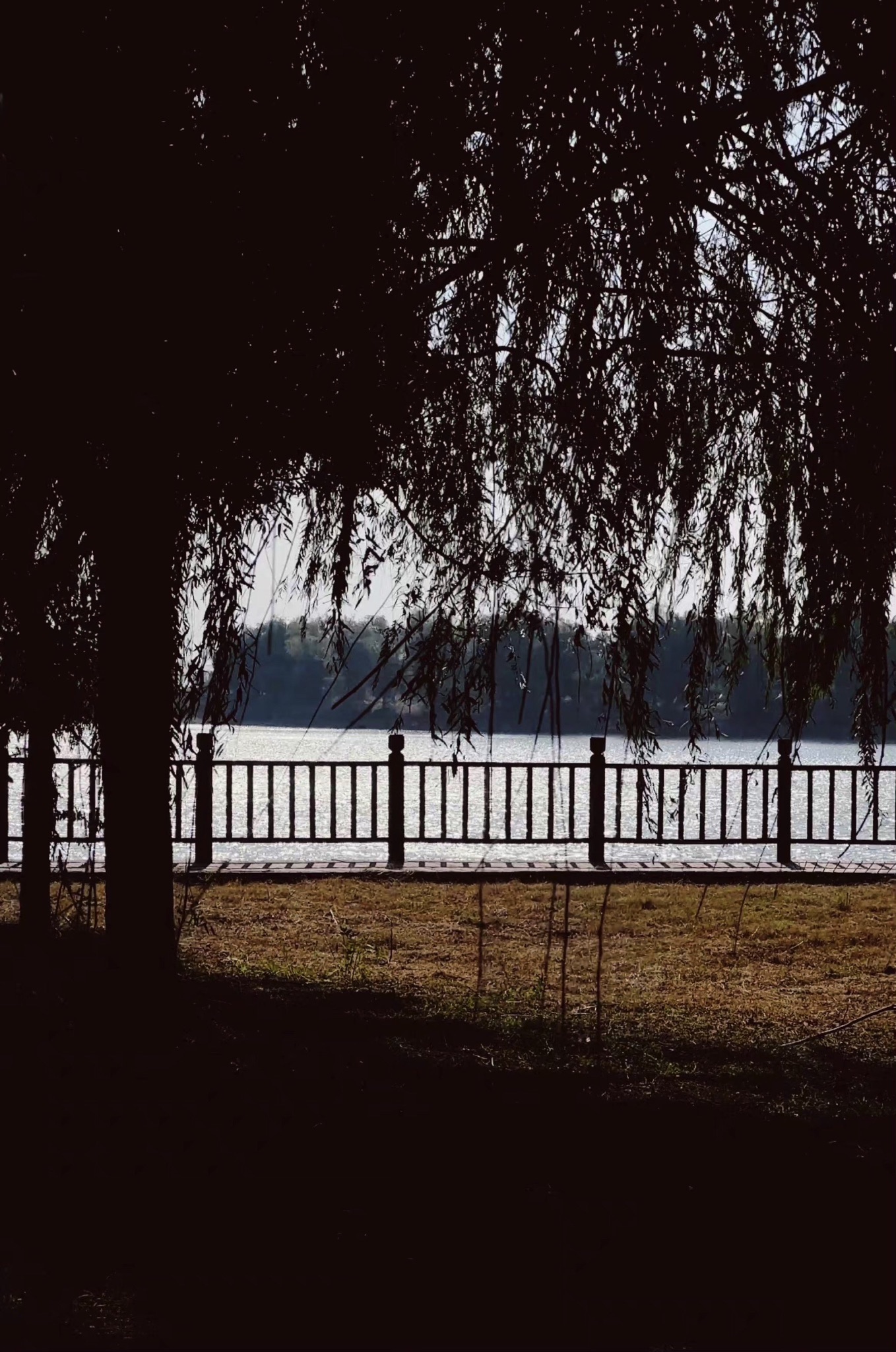 督公湖景区旅行图片