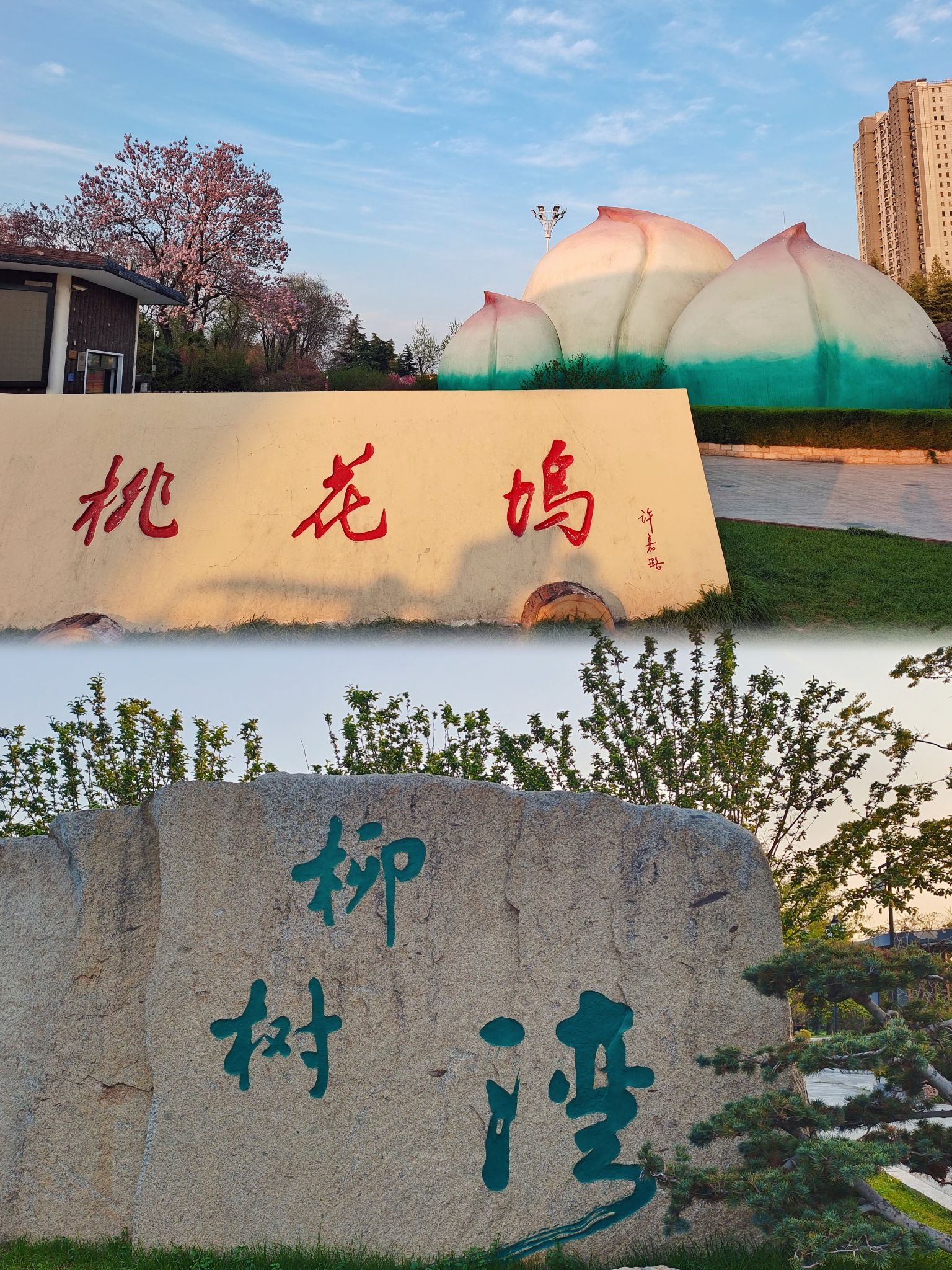 桃花坞旅行图片