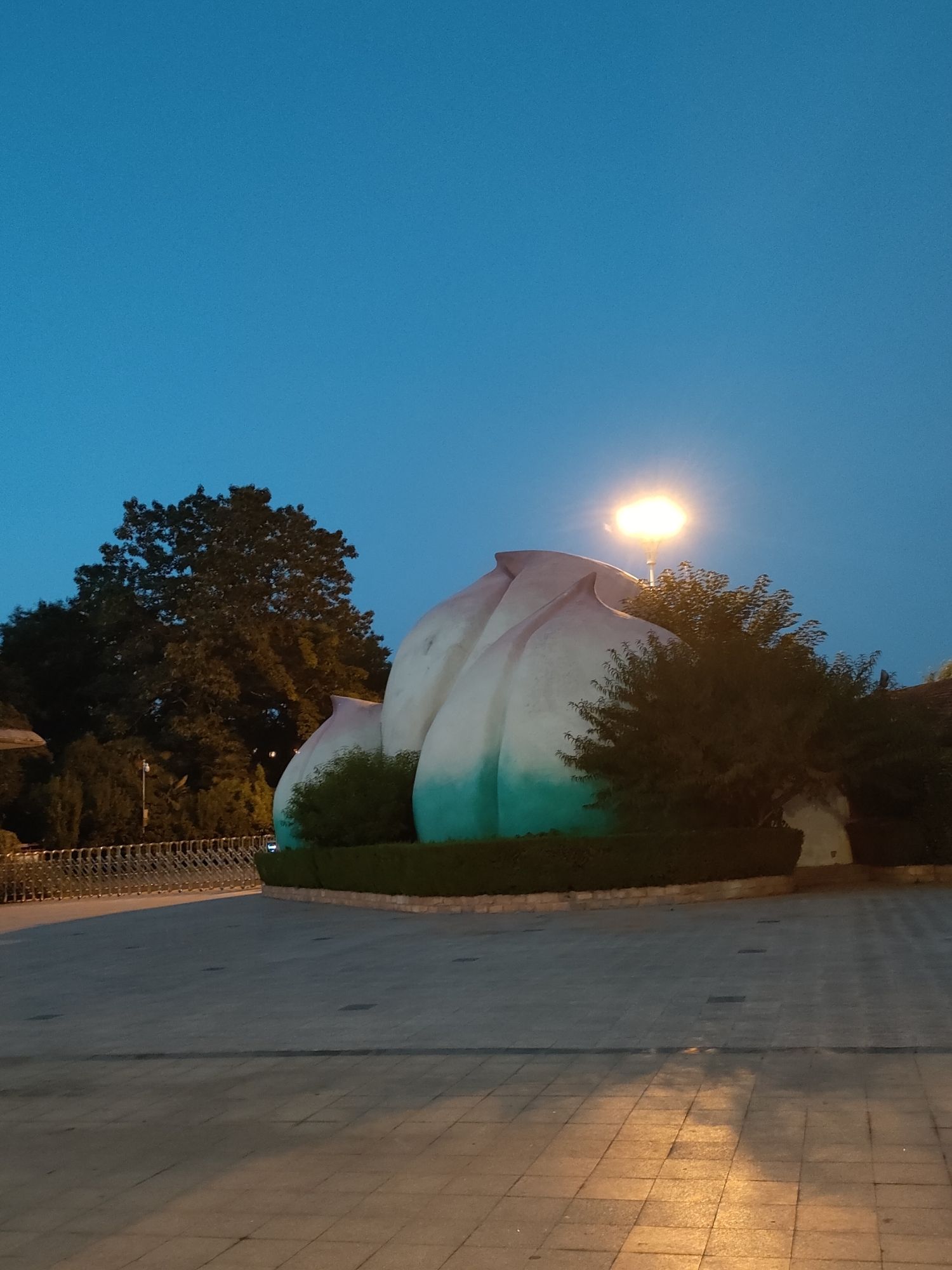 桃花坞旅行图片