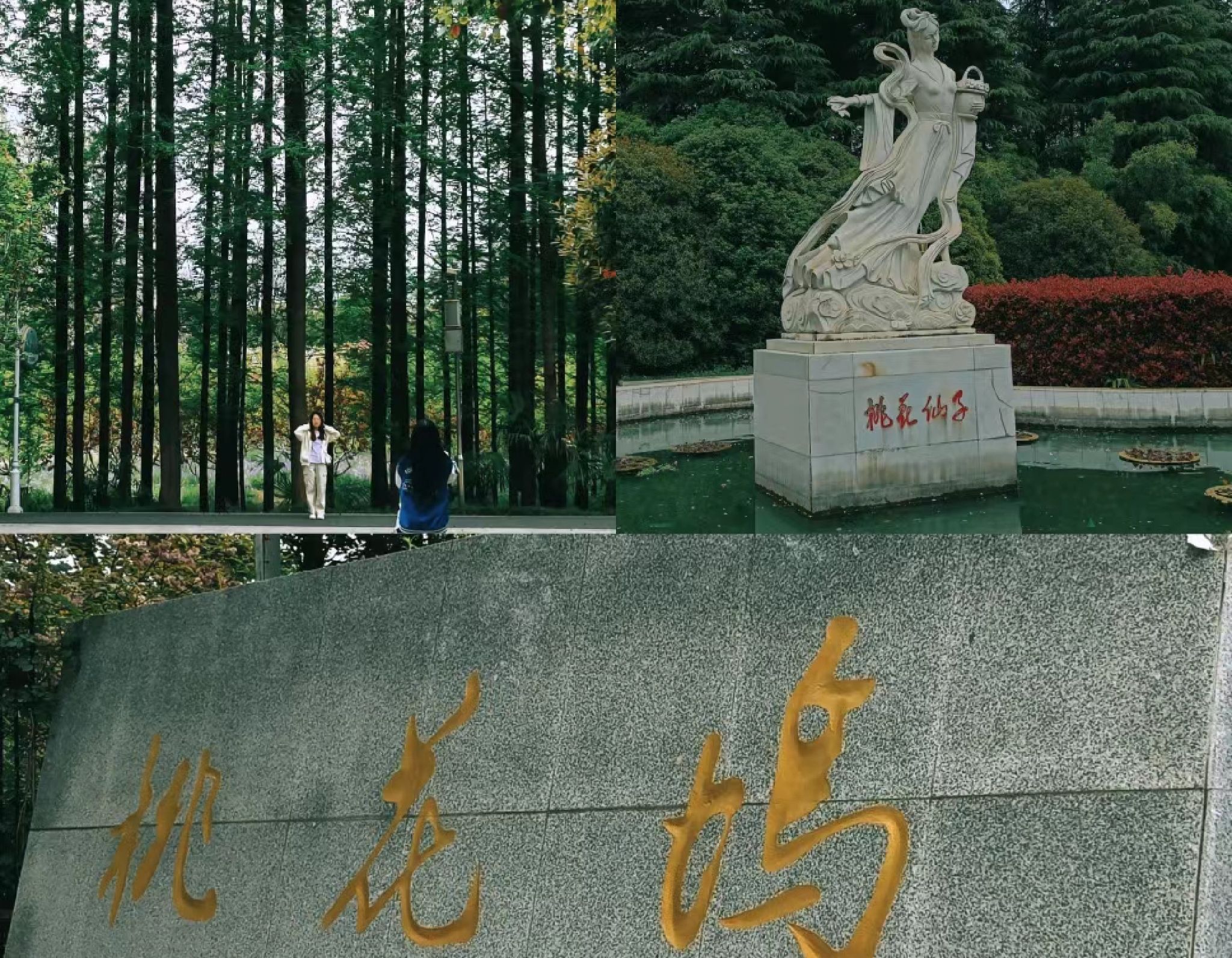 桃花坞旅行图片