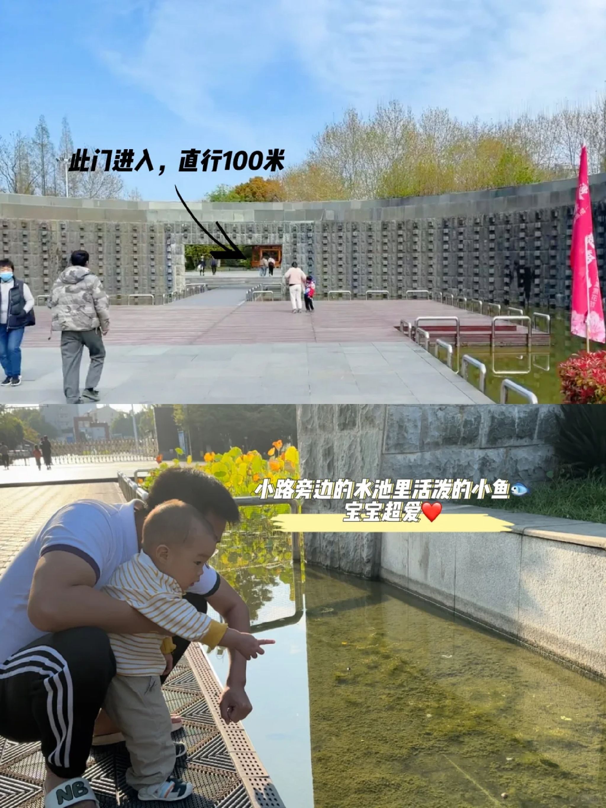 楚秀园旅行图片