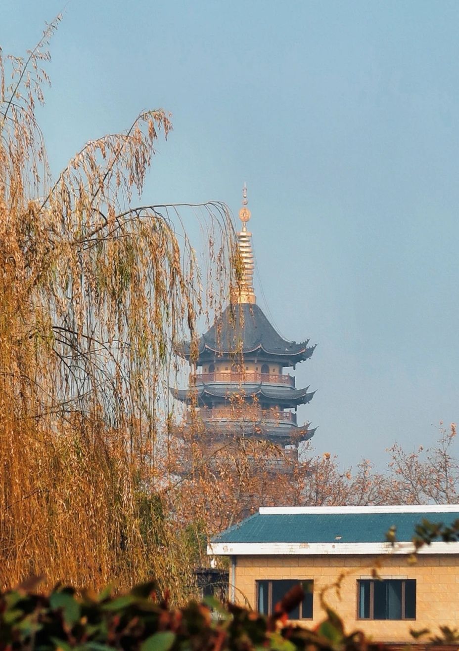 楚秀园旅行图片