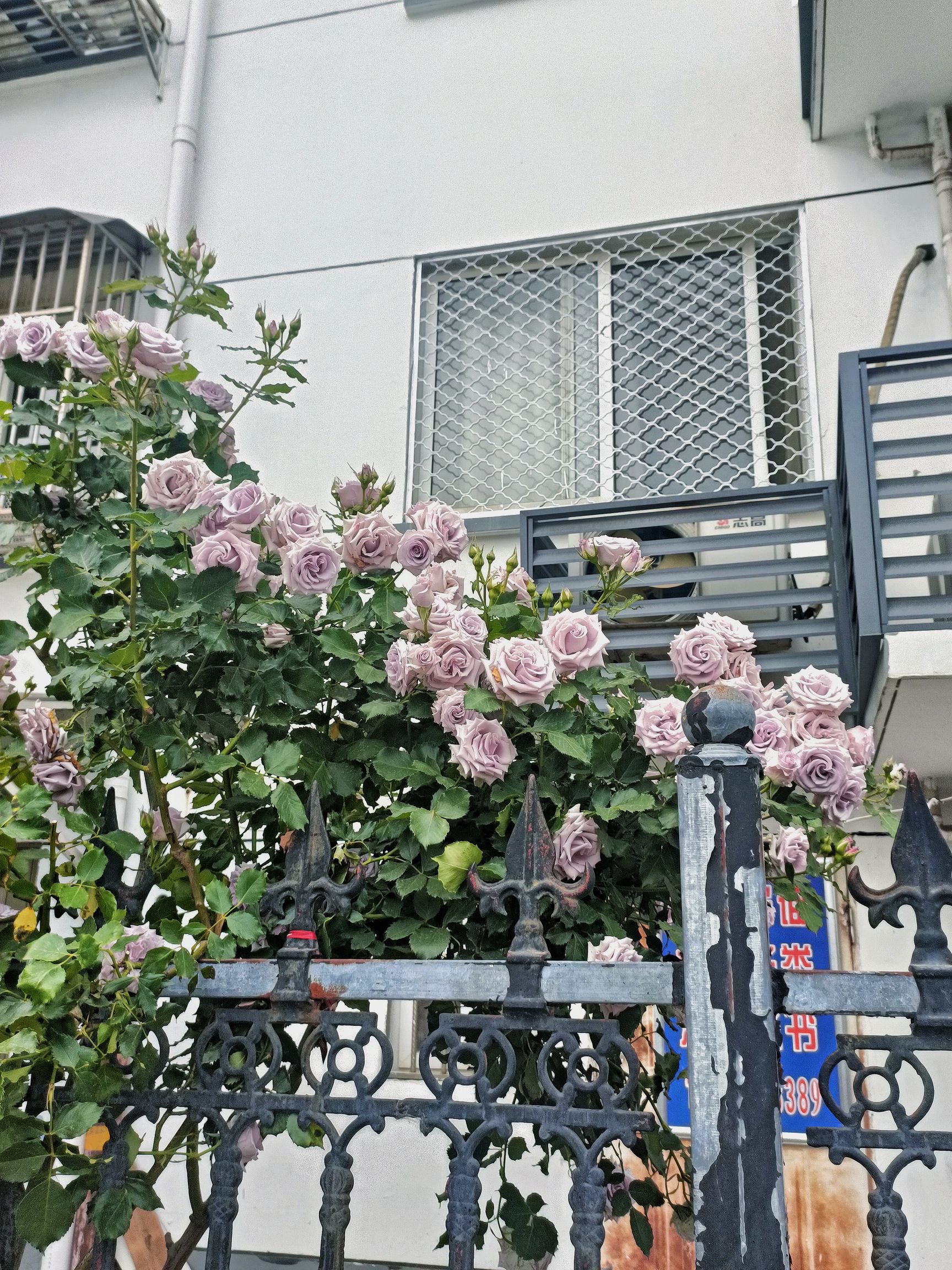 漕运广场