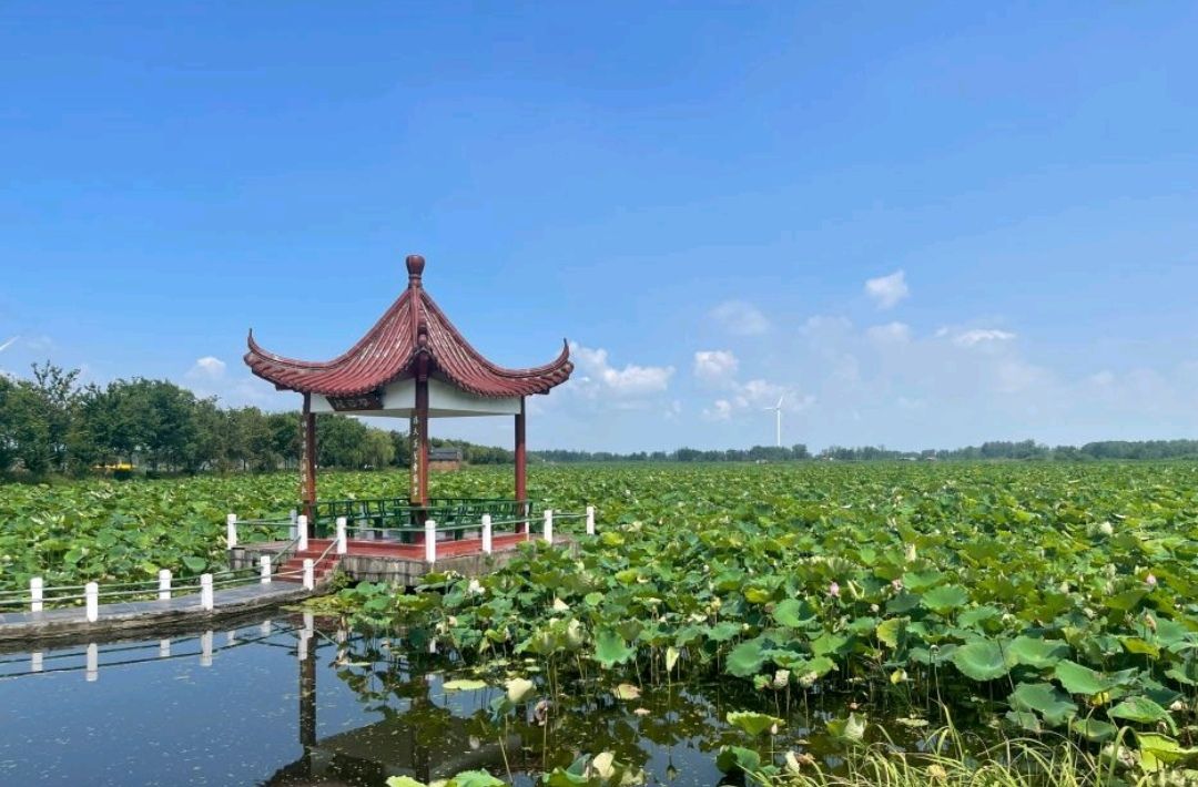 淮安市金湖县荷花荡景区(暂停营业)
