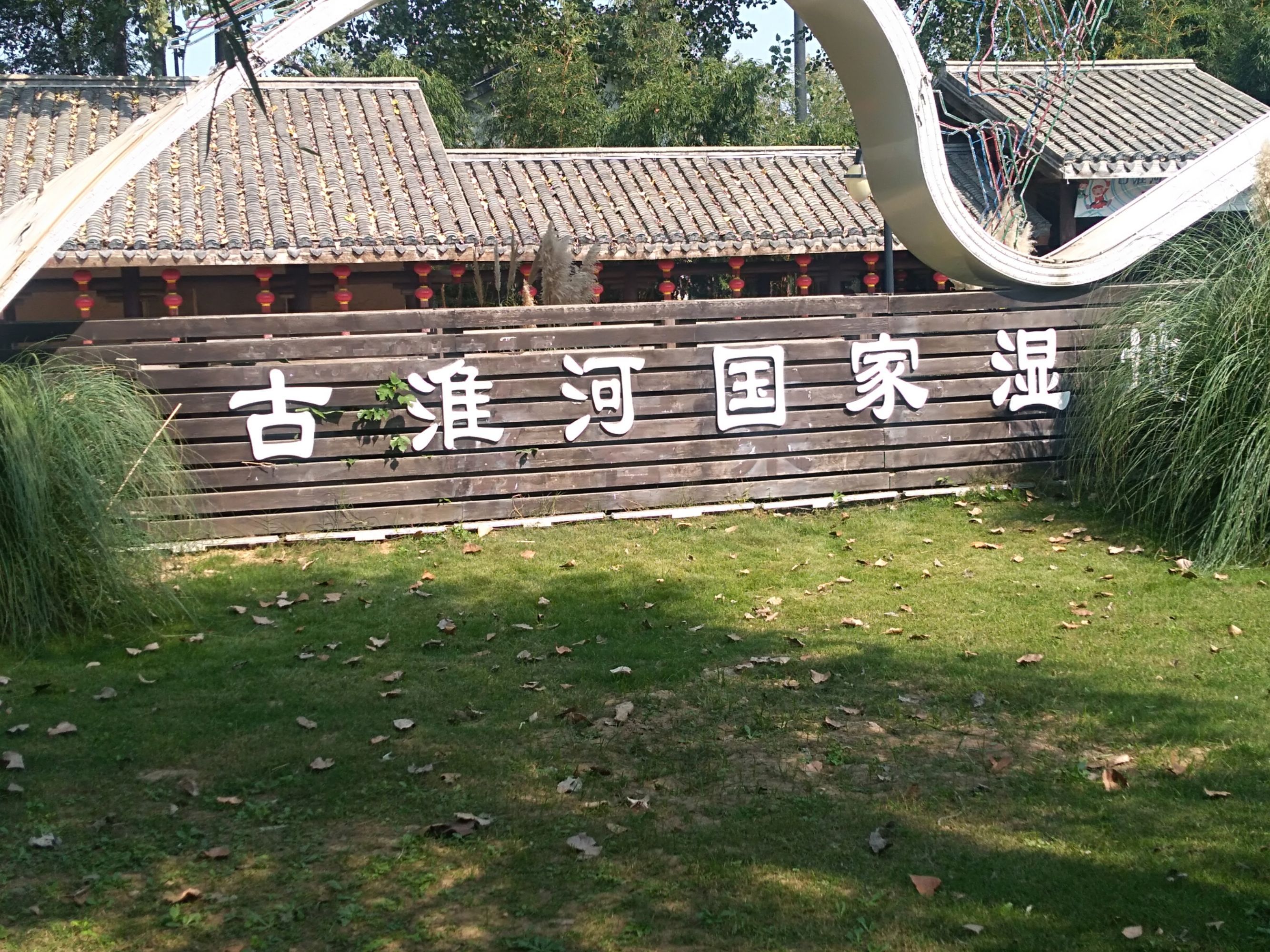 古黄河湿地公园旅行图片