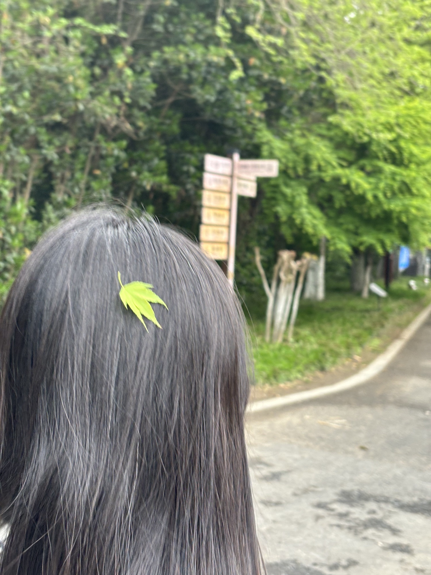 古黄河湿地公园旅行图片