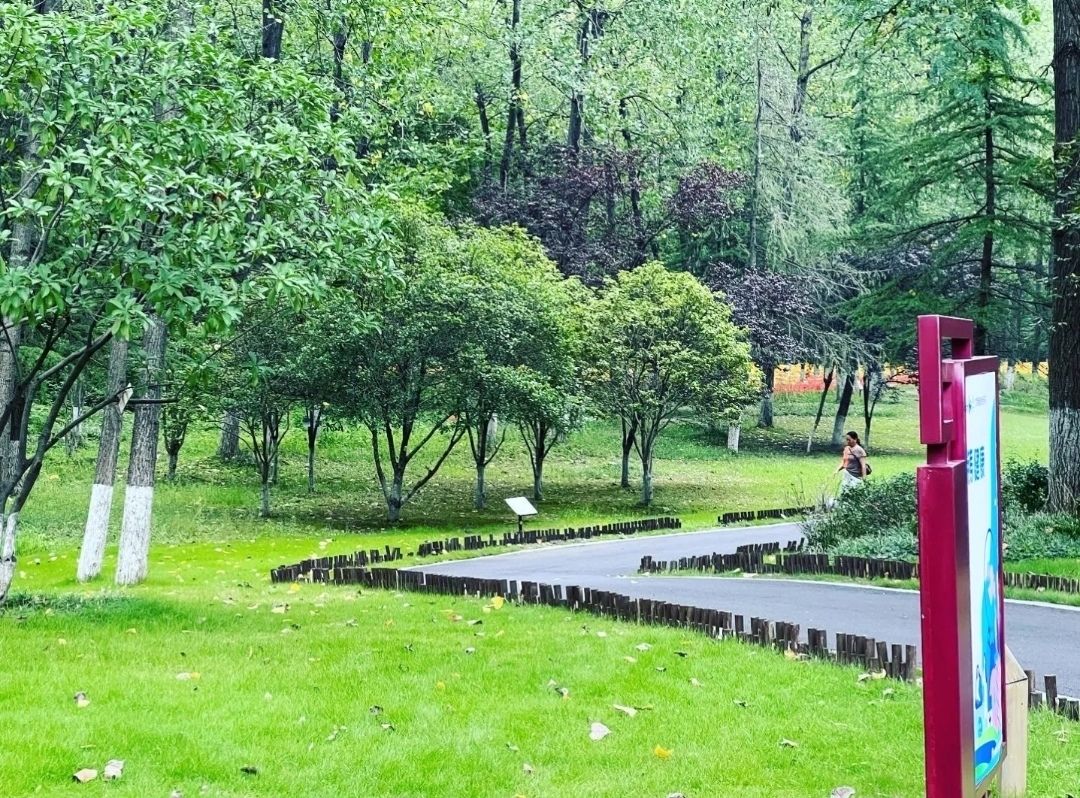古黄河湿地公园旅行图片