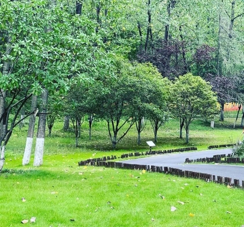 古黄河湿地公园旅行图片