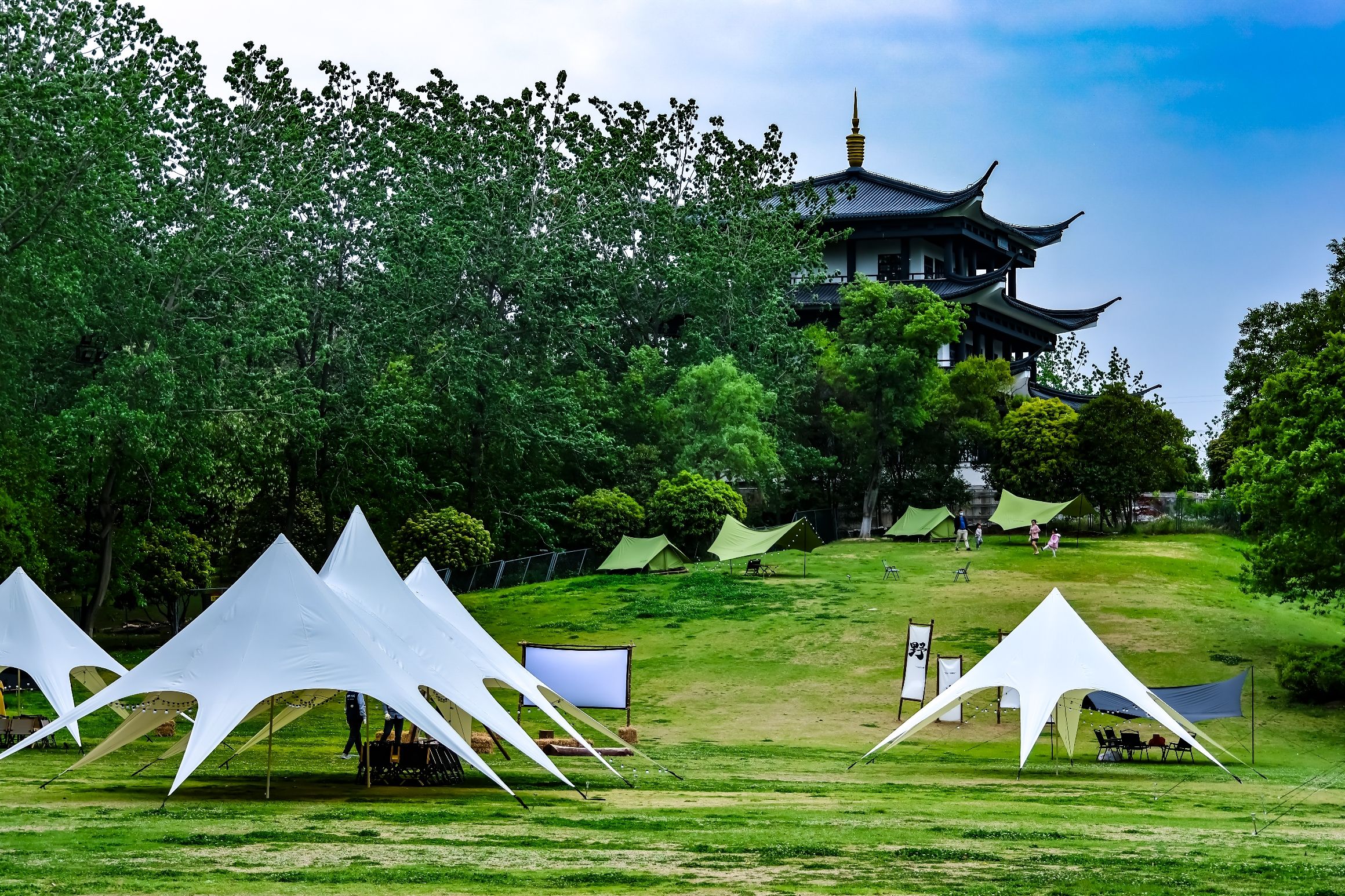 古淮河文化生态景区旅行图片