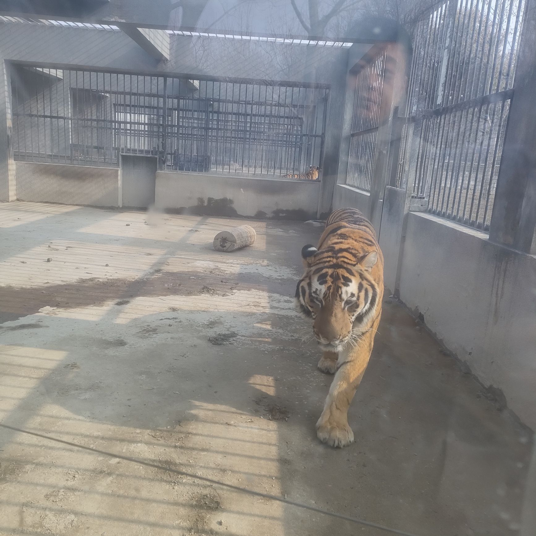 淮安动物园旅行图片