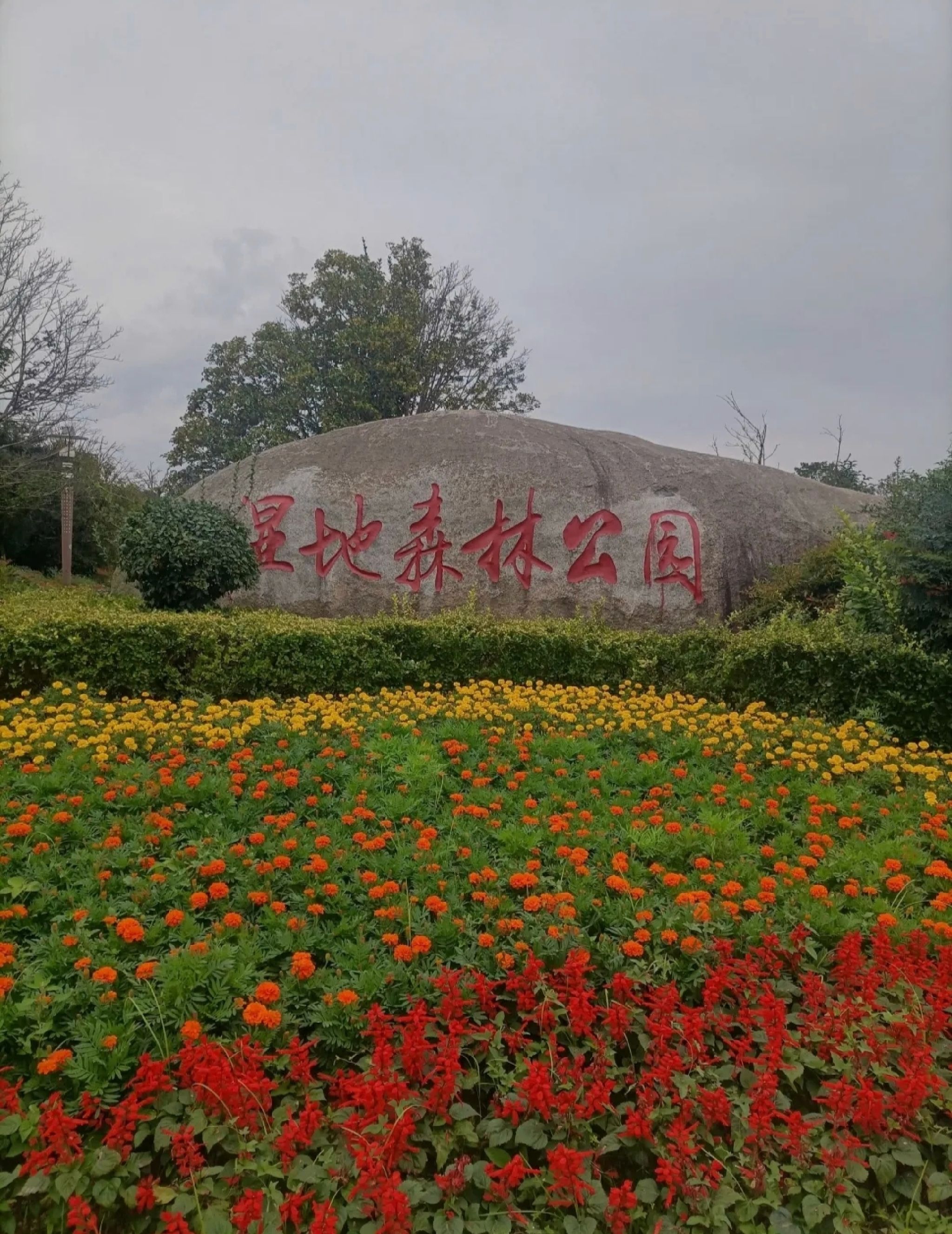 淮安森林公园旅行图片