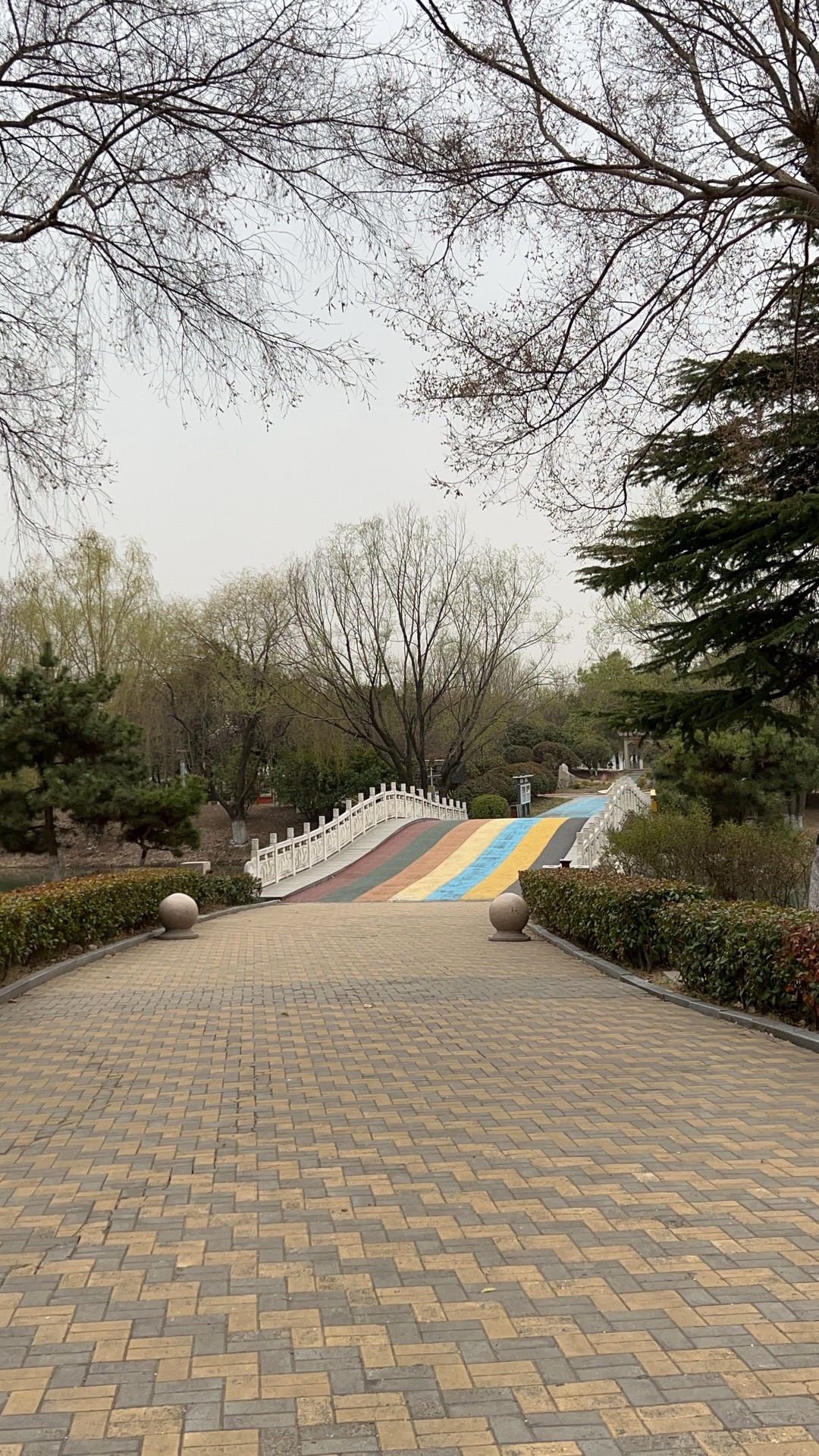 东海县西双湖国家湿地公园旅行图片