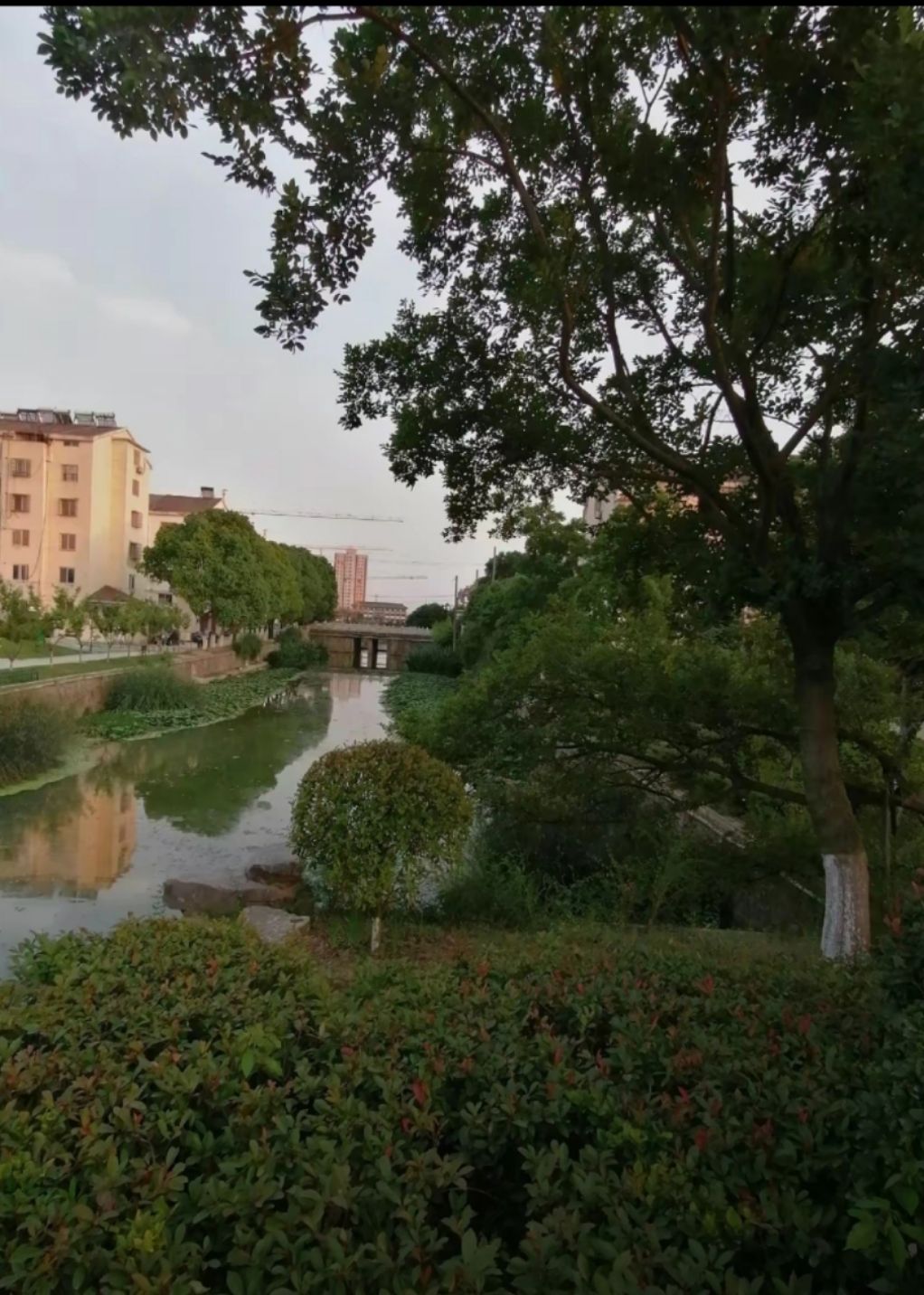 牌楼公园旅行图片
