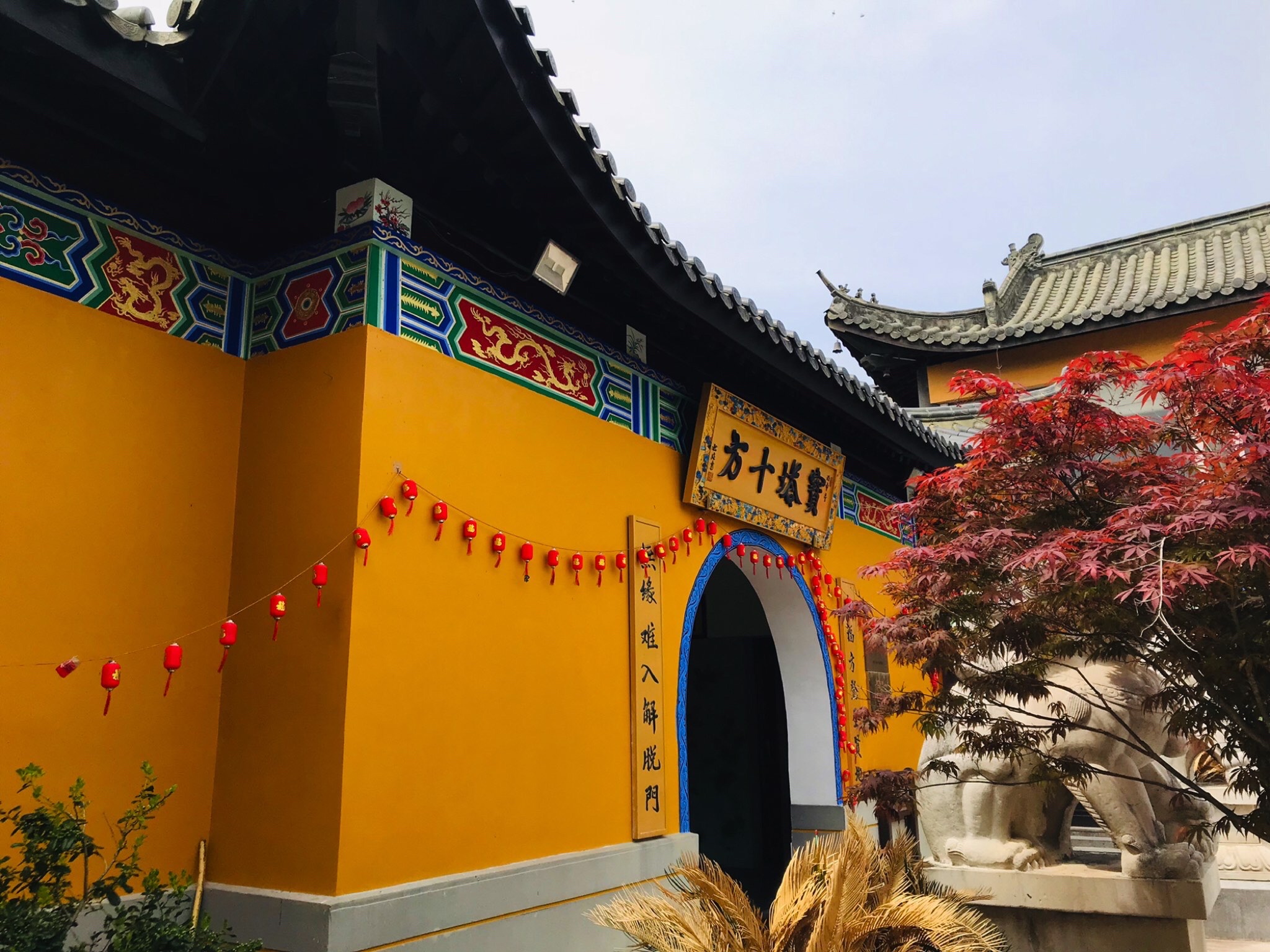 顾龙山公园旅行图片